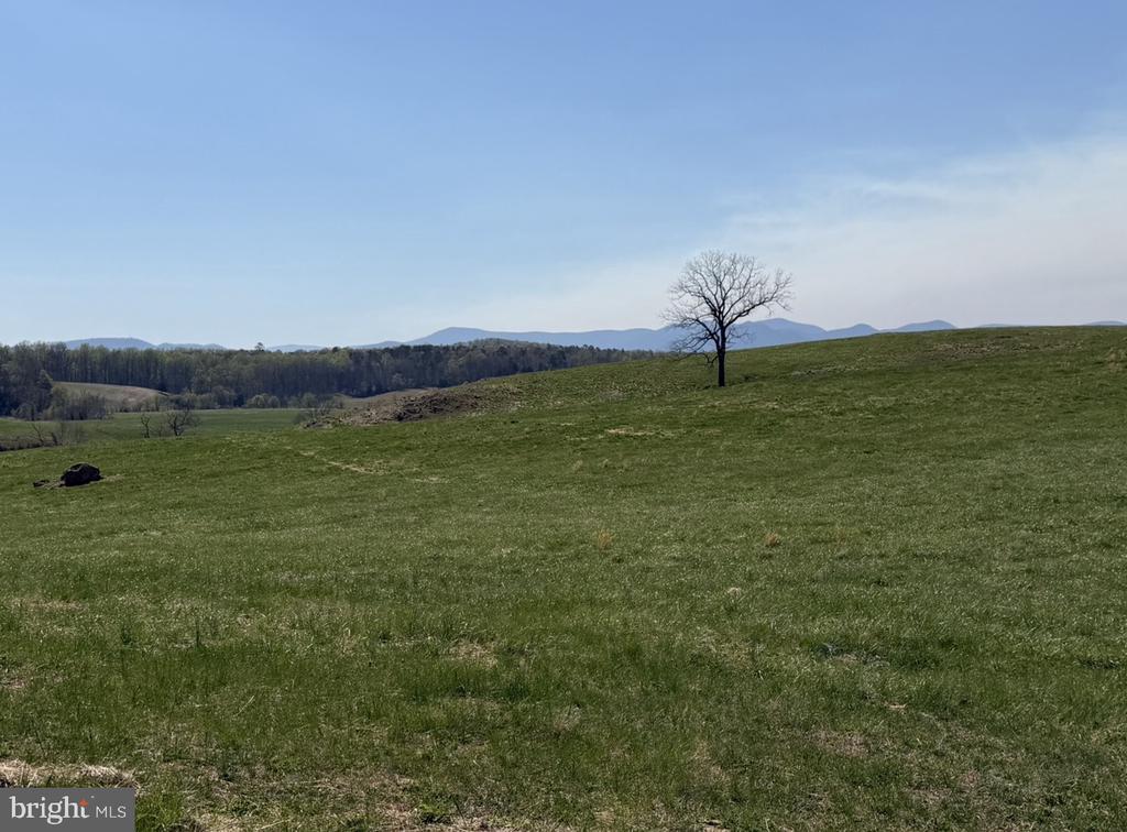 1388 NOVUM CHURCH, REVA, Virginia 22735, 4 Bedrooms Bedrooms, ,3 BathroomsBathrooms,Residential,1388 NOVUM CHURCH,VAMA2002698 MLS # VAMA2002698