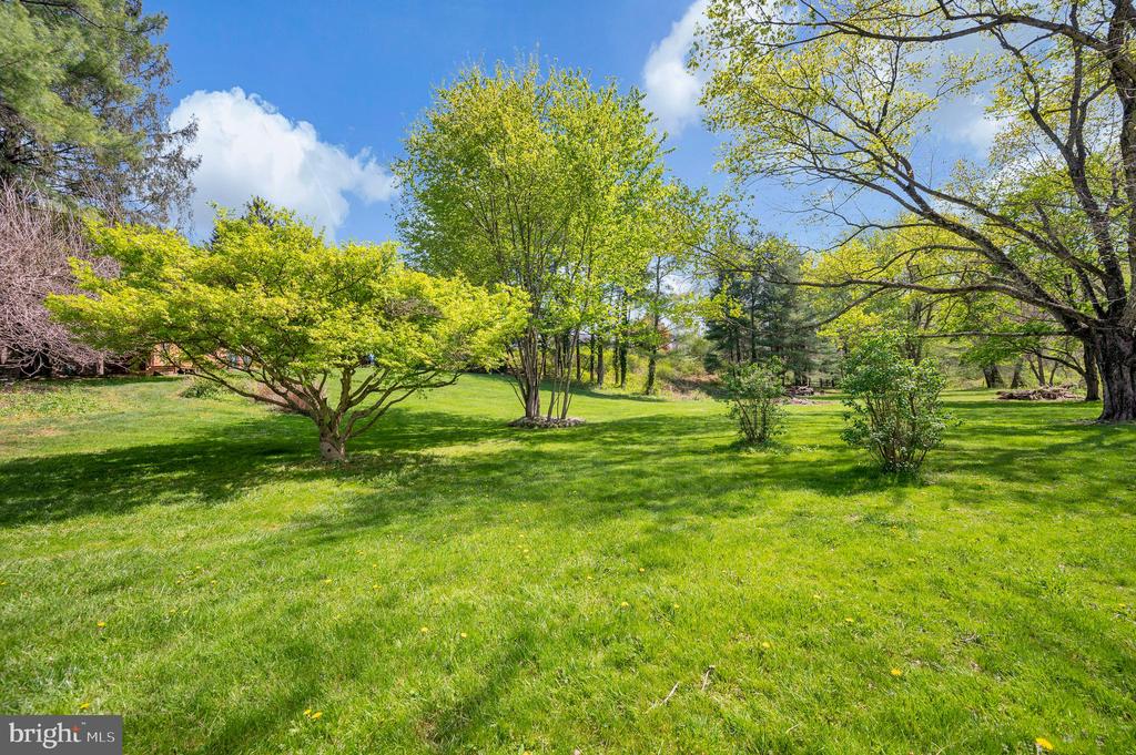 3195 FIERY RUN RD, LINDEN, Virginia, 5 Bedrooms Bedrooms, ,3 BathroomsBathrooms,Residential,3195 FIERY RUN RD,VAFQ2021536 MLS # VAFQ2021536