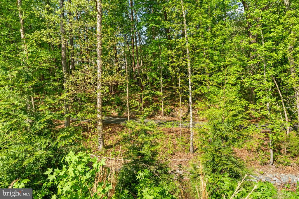 4220 COMMAND FIELD CT, FREDERICKSBURG, Virginia 22408, 3 Bedrooms Bedrooms, ,3 BathroomsBathrooms,Residential,4220 COMMAND FIELD CT,VASP2041028 MLS # VASP2041028