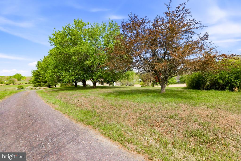 4004 INDIAN RUN RD, AMISSVILLE, Virginia 20106, 3 Bedrooms Bedrooms, ,2 BathroomsBathrooms,Residential,4004 INDIAN RUN RD,VACU2013326 MLS # VACU2013326