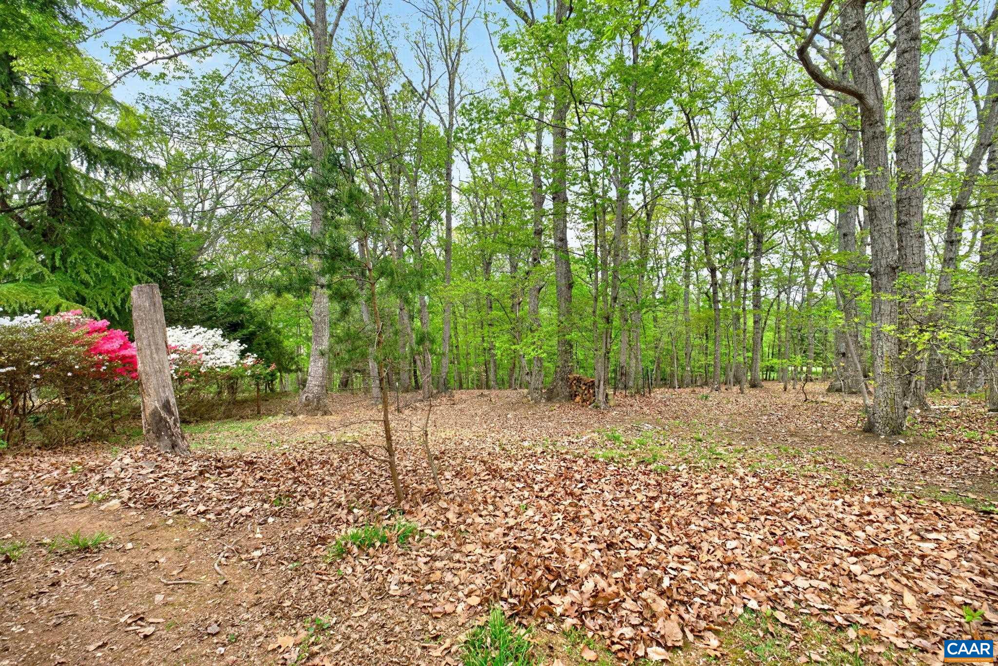 1670 MILTON RD, CHARLOTTESVILLE, Virginia 22902, 4 Bedrooms Bedrooms, ,3 BathroomsBathrooms,Residential,1670 MILTON RD,675923 MLS # 675923