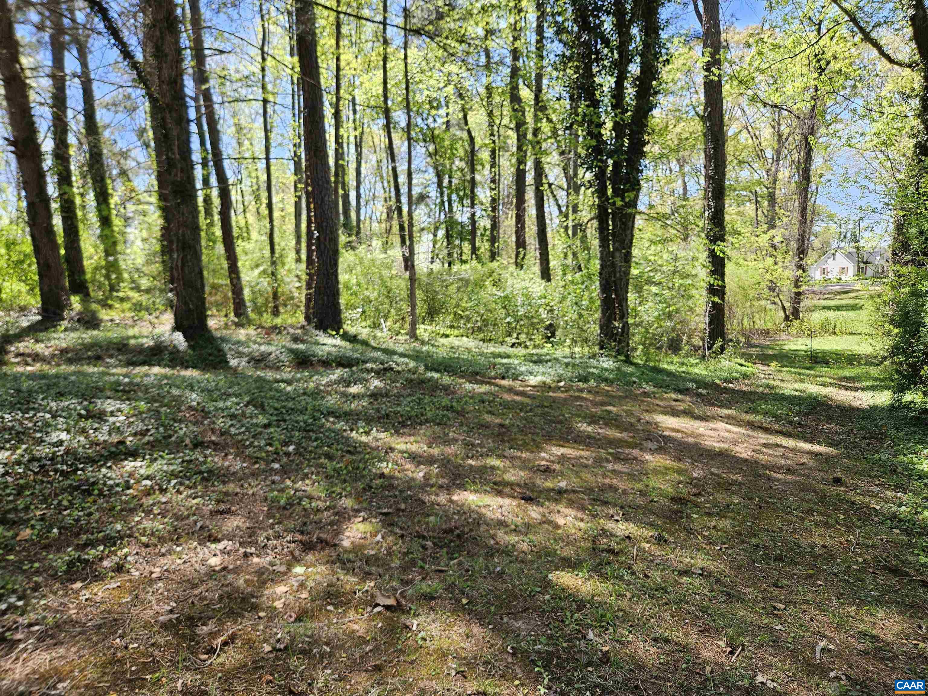 3271 ROSNEY RD, DILLWYN, Virginia 23936, 3 Bedrooms Bedrooms, ,2 BathroomsBathrooms,Residential,3271 ROSNEY RD,675937 MLS # 675937