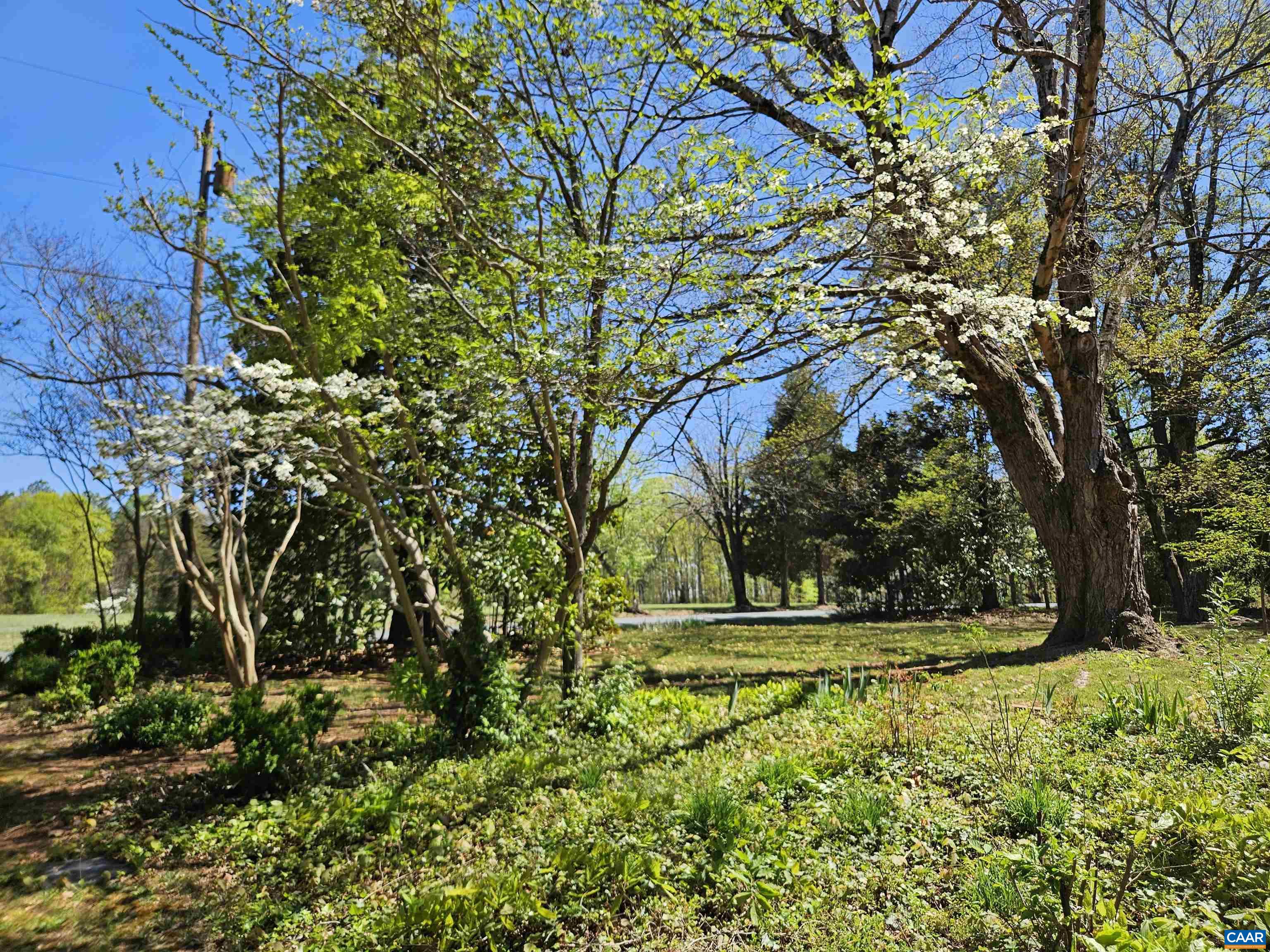 3271 ROSNEY RD, DILLWYN, Virginia 23936, 3 Bedrooms Bedrooms, ,2 BathroomsBathrooms,Residential,3271 ROSNEY RD,675937 MLS # 675937