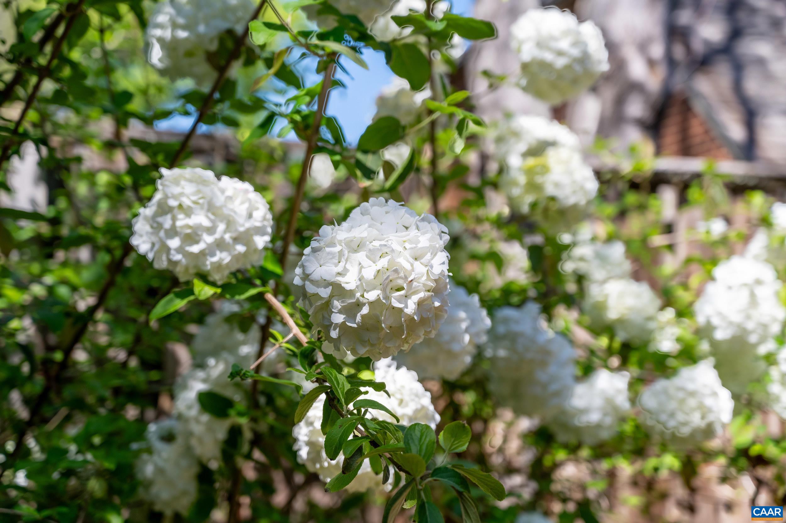 28 EDNAM VILLAGE ST, CHARLOTTESVILLE, Virginia 22903, 4 Bedrooms Bedrooms, ,3 BathroomsBathrooms,Residential,28 EDNAM VILLAGE ST,675939 MLS # 675939