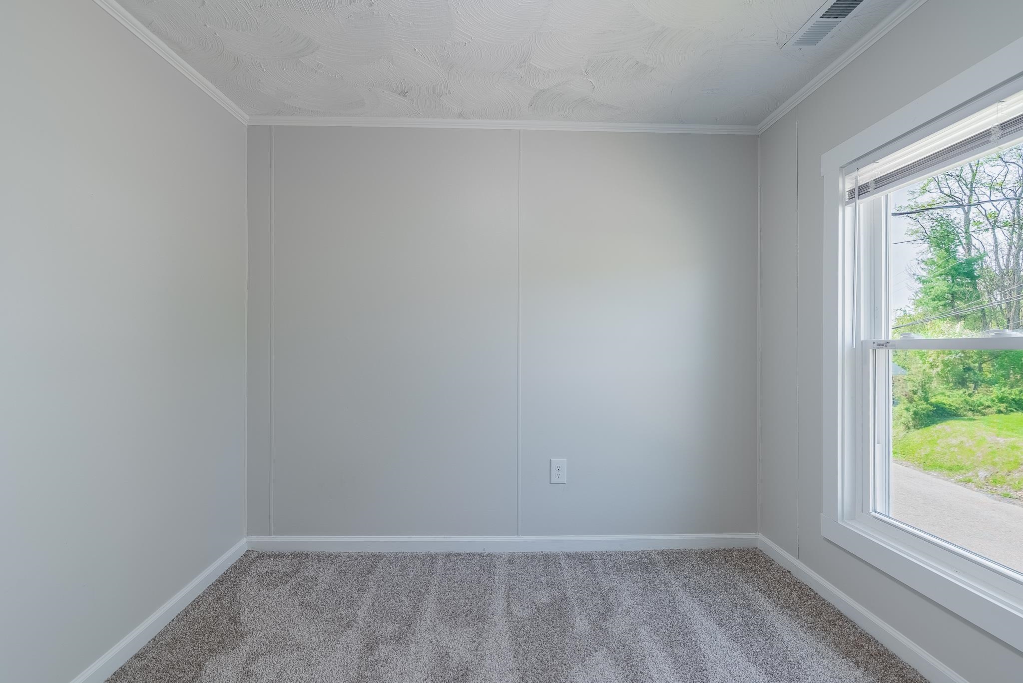 2163 RAPHINE RD, RAPHINE, Virginia 24472, 3 Bedrooms Bedrooms, ,1 BathroomBathrooms,Residential,2163 RAPHINE RD,675947 MLS # 675947