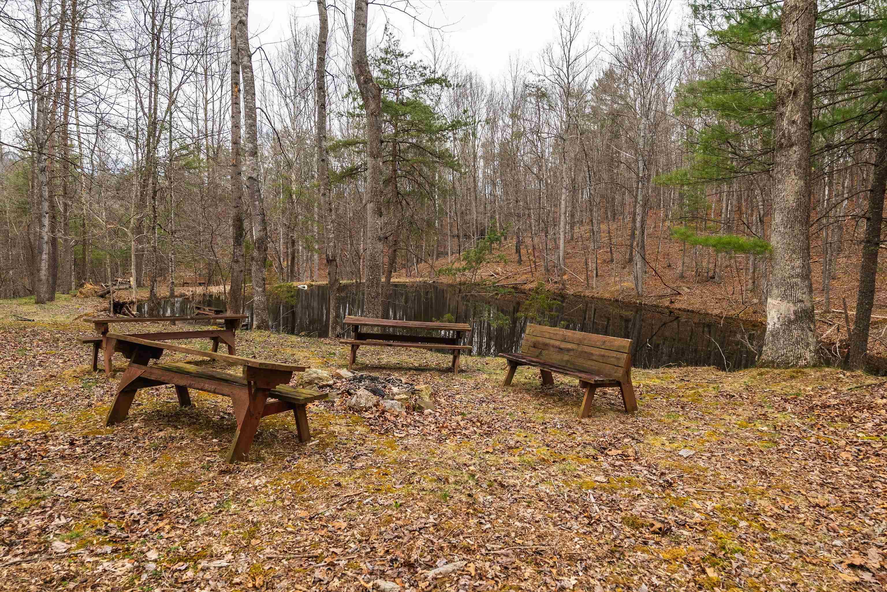 163 acres HOPKINS GAP RD, FULKS RUN, Virginia 22830, ,Farm,163 acres HOPKINS GAP RD,675968 MLS # 675968