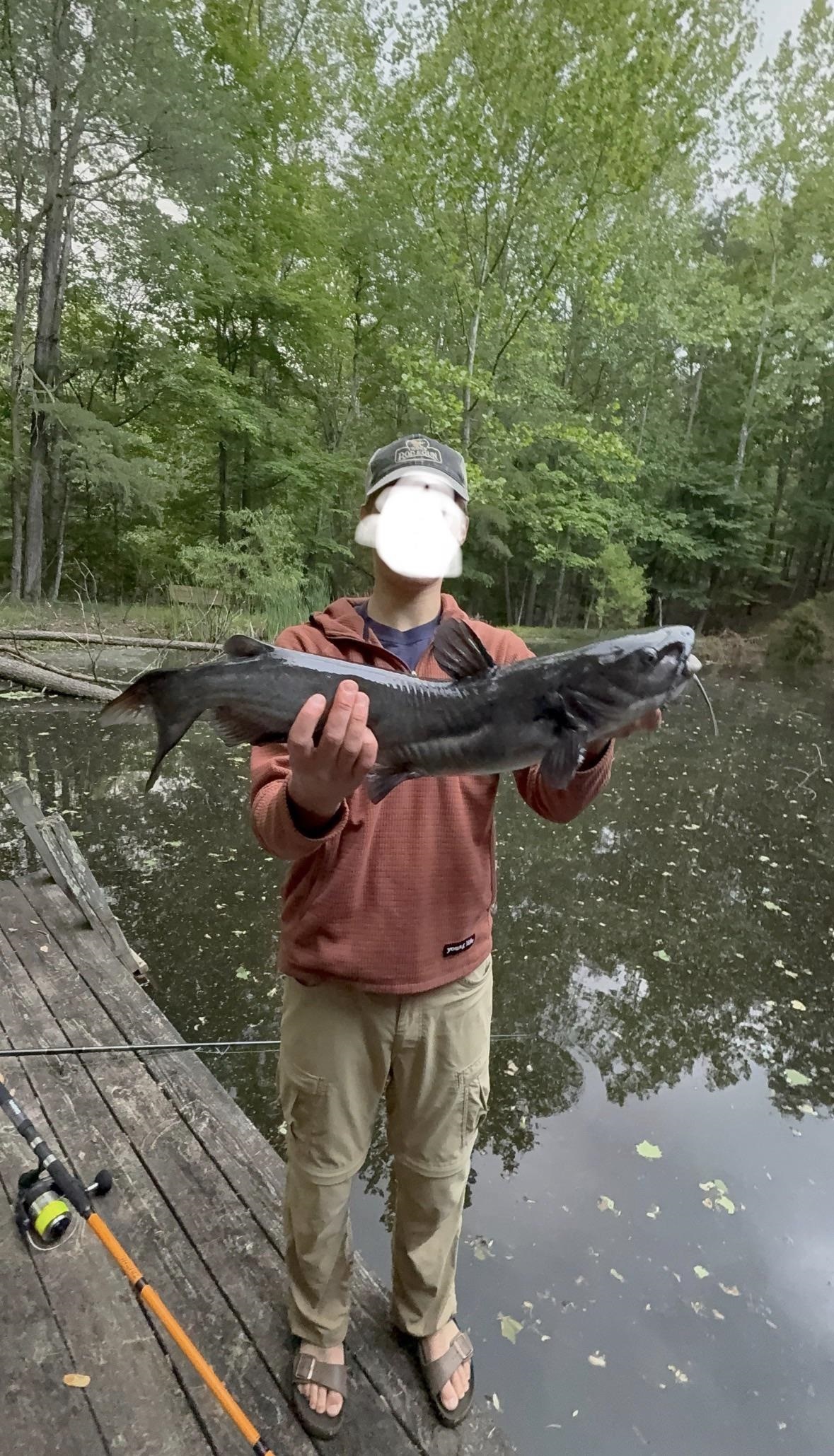 163 acres HOPKINS GAP RD, FULKS RUN, Virginia 22830, ,Farm,163 acres HOPKINS GAP RD,675968 MLS # 675968