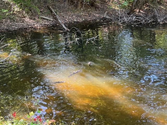 163 acres HOPKINS GAP RD, FULKS RUN, Virginia 22830, ,Farm,163 acres HOPKINS GAP RD,675968 MLS # 675968