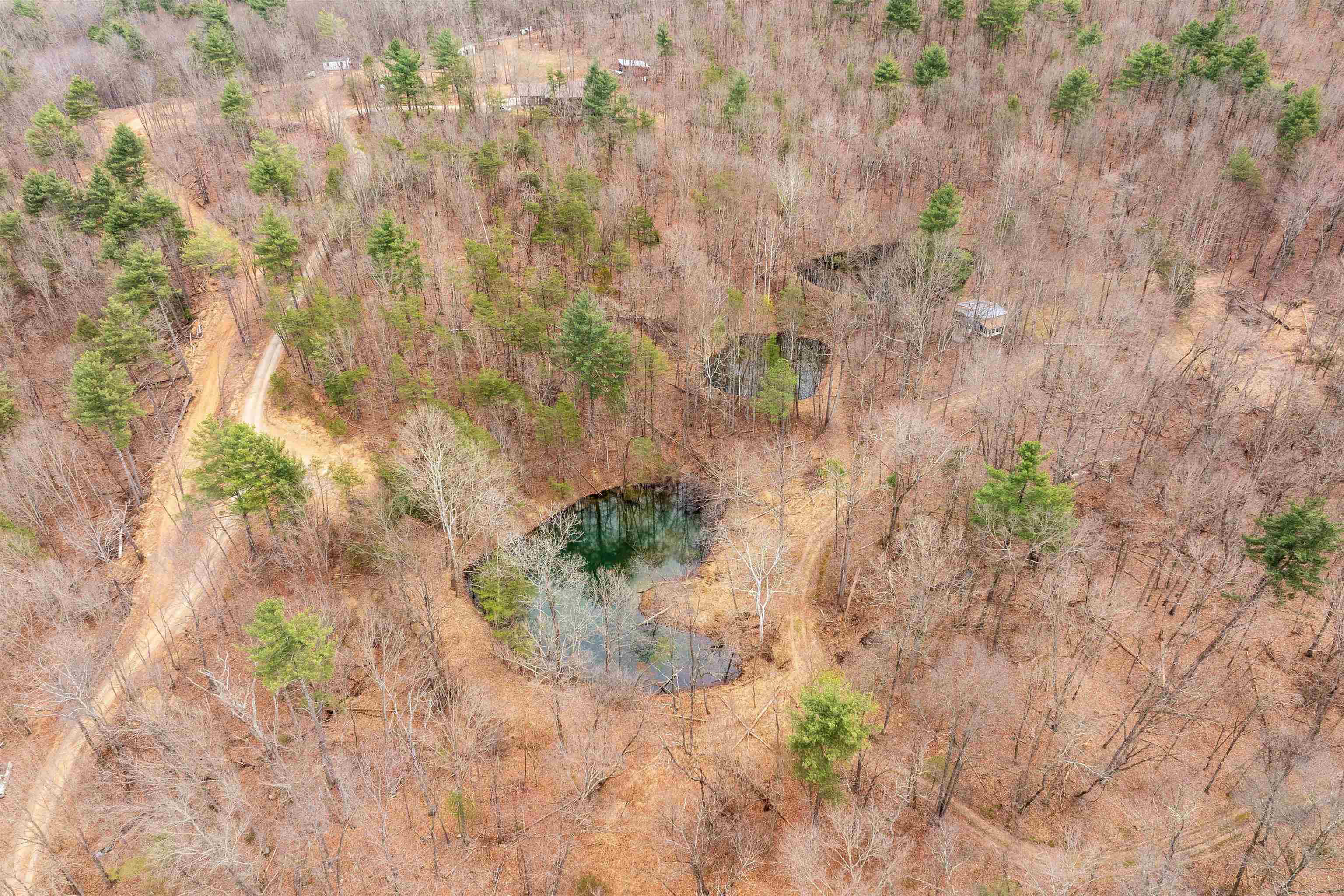 163 acres HOPKINS GAP RD, FULKS RUN, Virginia 22830, ,Farm,163 acres HOPKINS GAP RD,675968 MLS # 675968