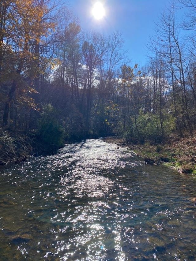 163 acres HOPKINS GAP RD, FULKS RUN, Virginia 22830, ,Farm,163 acres HOPKINS GAP RD,675968 MLS # 675968