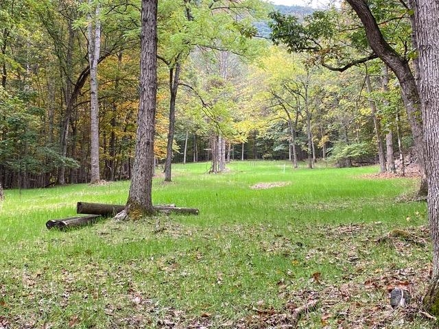 163 acres HOPKINS GAP RD, FULKS RUN, Virginia 22830, ,Farm,163 acres HOPKINS GAP RD,675968 MLS # 675968