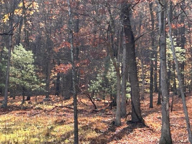 163 acres HOPKINS GAP RD, FULKS RUN, Virginia 22830, ,Farm,163 acres HOPKINS GAP RD,675968 MLS # 675968