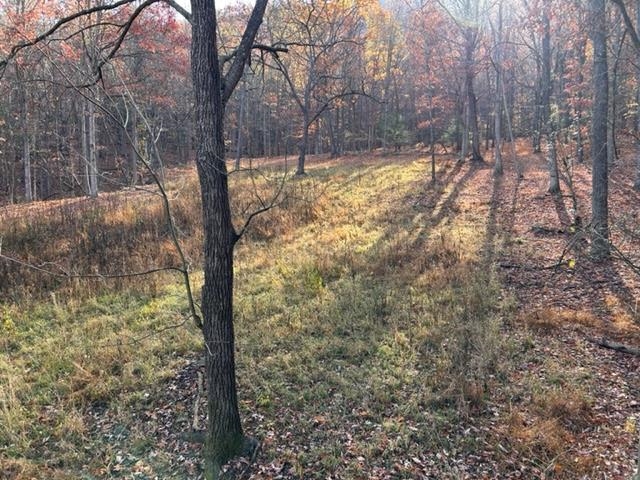 163 acres HOPKINS GAP RD, FULKS RUN, Virginia 22830, ,Farm,163 acres HOPKINS GAP RD,675968 MLS # 675968