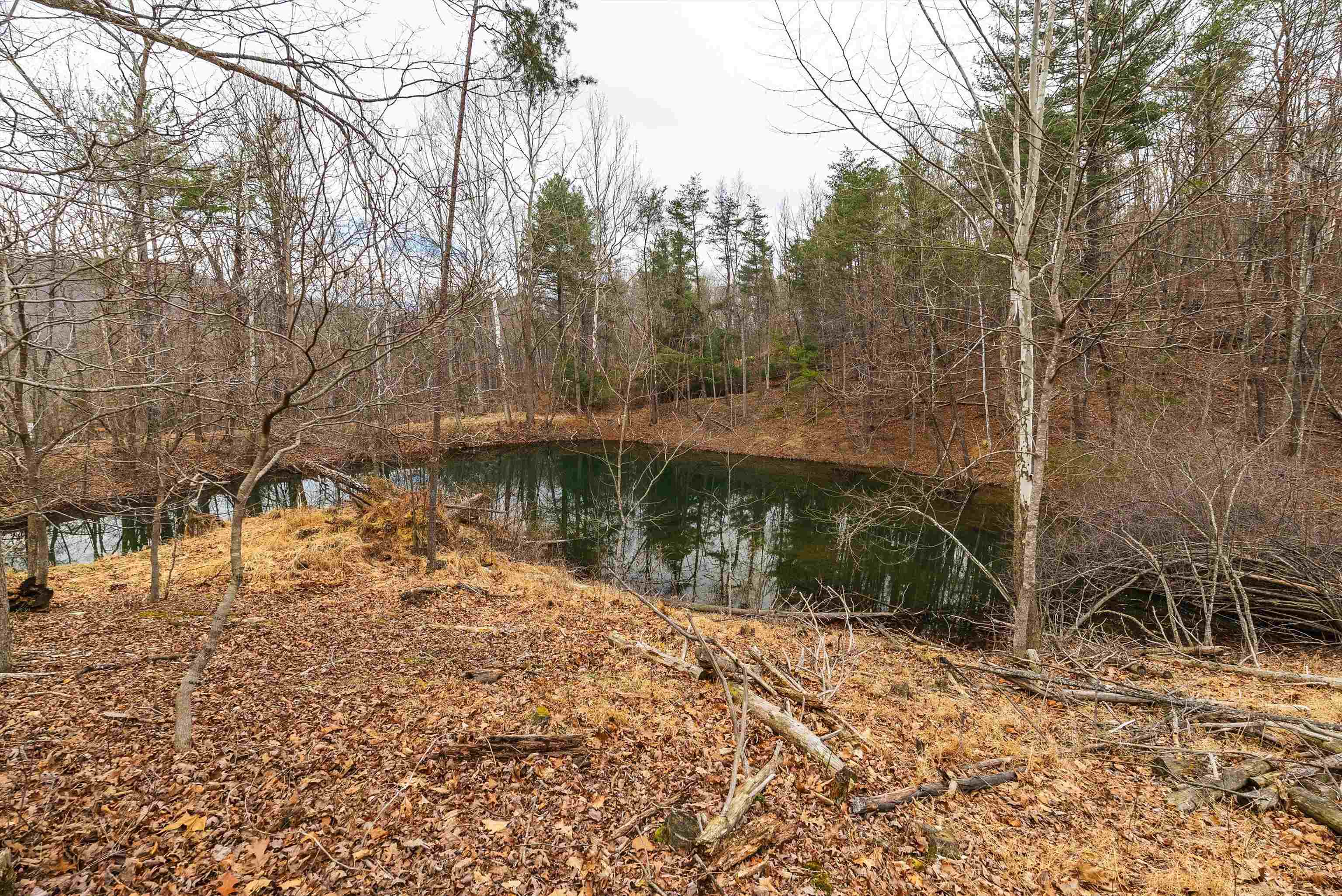 163 acres HOPKINS GAP RD, FULKS RUN, Virginia 22830, ,Farm,163 acres HOPKINS GAP RD,675968 MLS # 675968