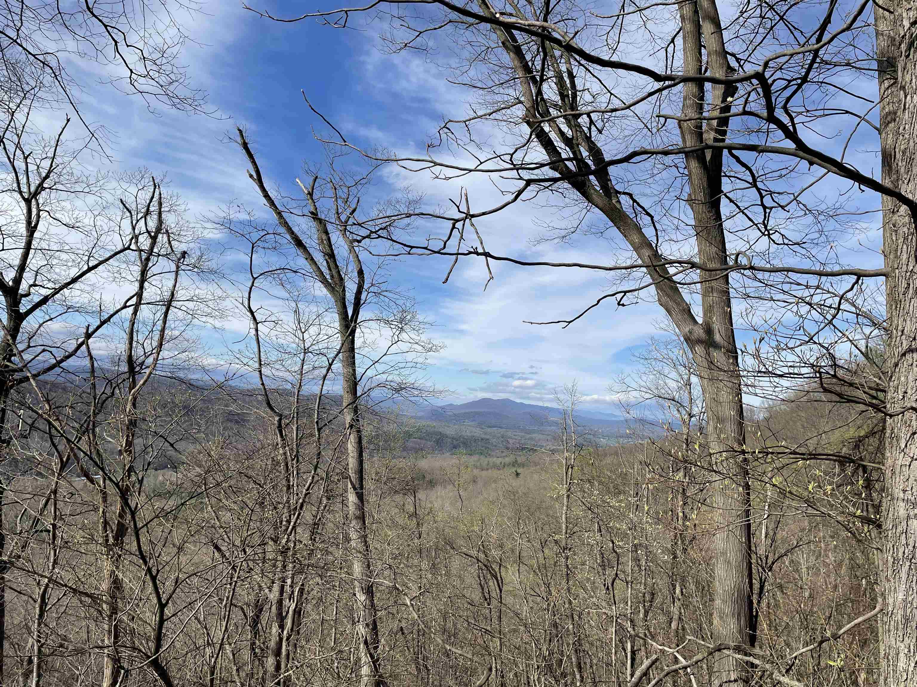 163 acres HOPKINS GAP RD, FULKS RUN, Virginia 22830, ,Farm,163 acres HOPKINS GAP RD,675968 MLS # 675968