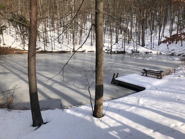 Lot 1 HOPKINS GAP RD, FULKS RUN, Virginia 22830, ,Farm,Lot 1 HOPKINS GAP RD,675970 MLS # 675970