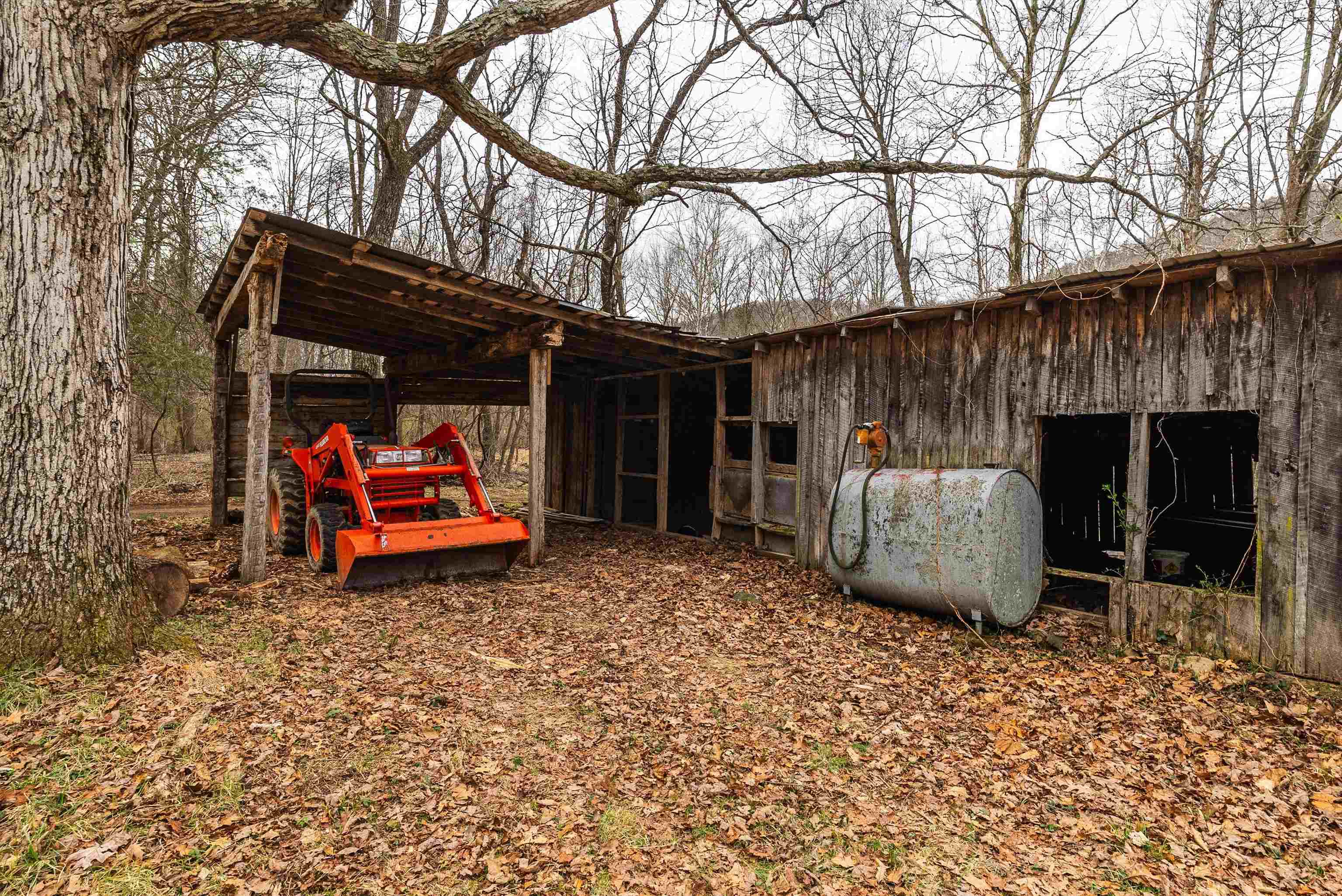 Lot 1 HOPKINS GAP RD, FULKS RUN, Virginia 22830, ,Farm,Lot 1 HOPKINS GAP RD,675970 MLS # 675970