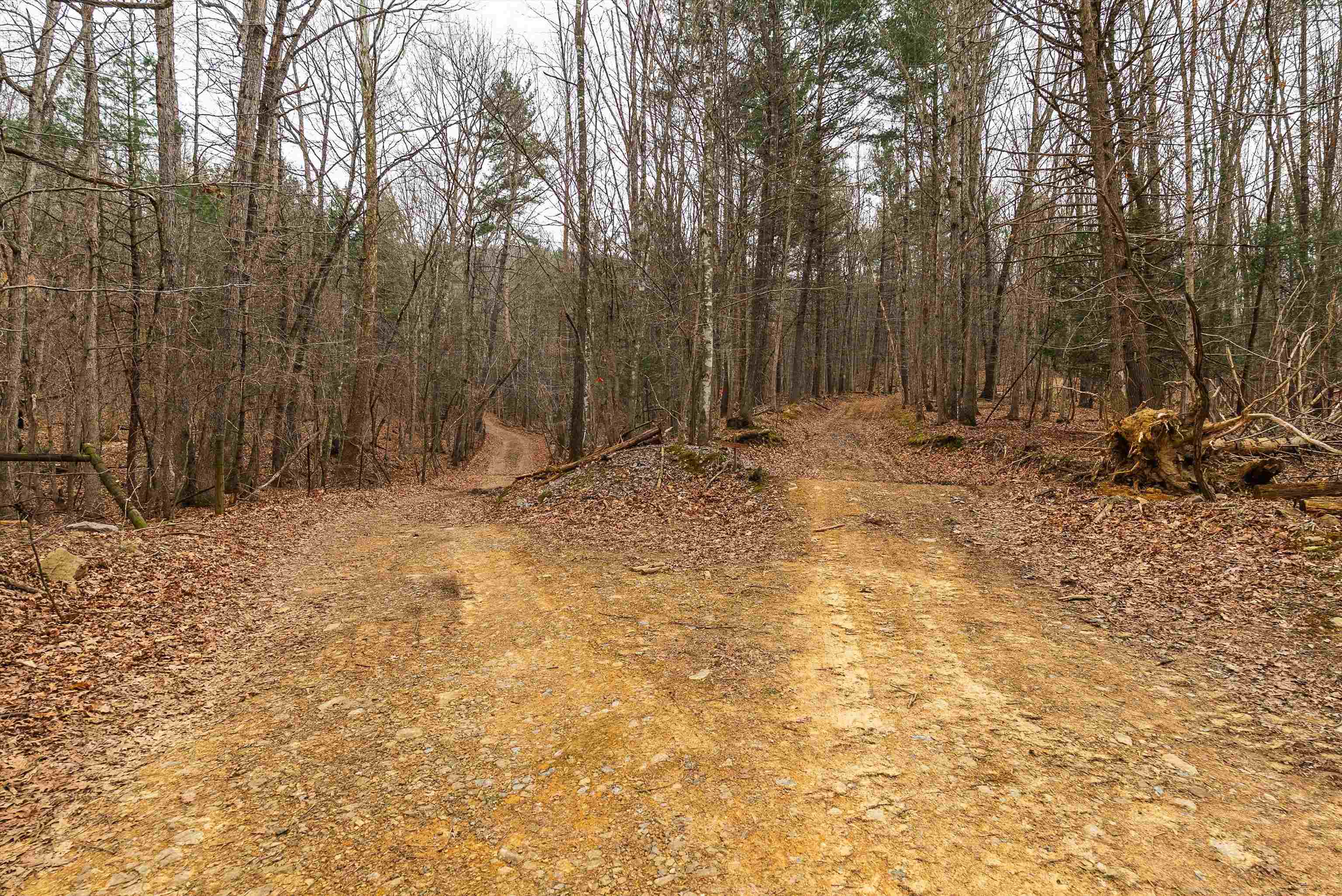 Lot 1 HOPKINS GAP RD, FULKS RUN, Virginia 22830, ,Farm,Lot 1 HOPKINS GAP RD,675970 MLS # 675970