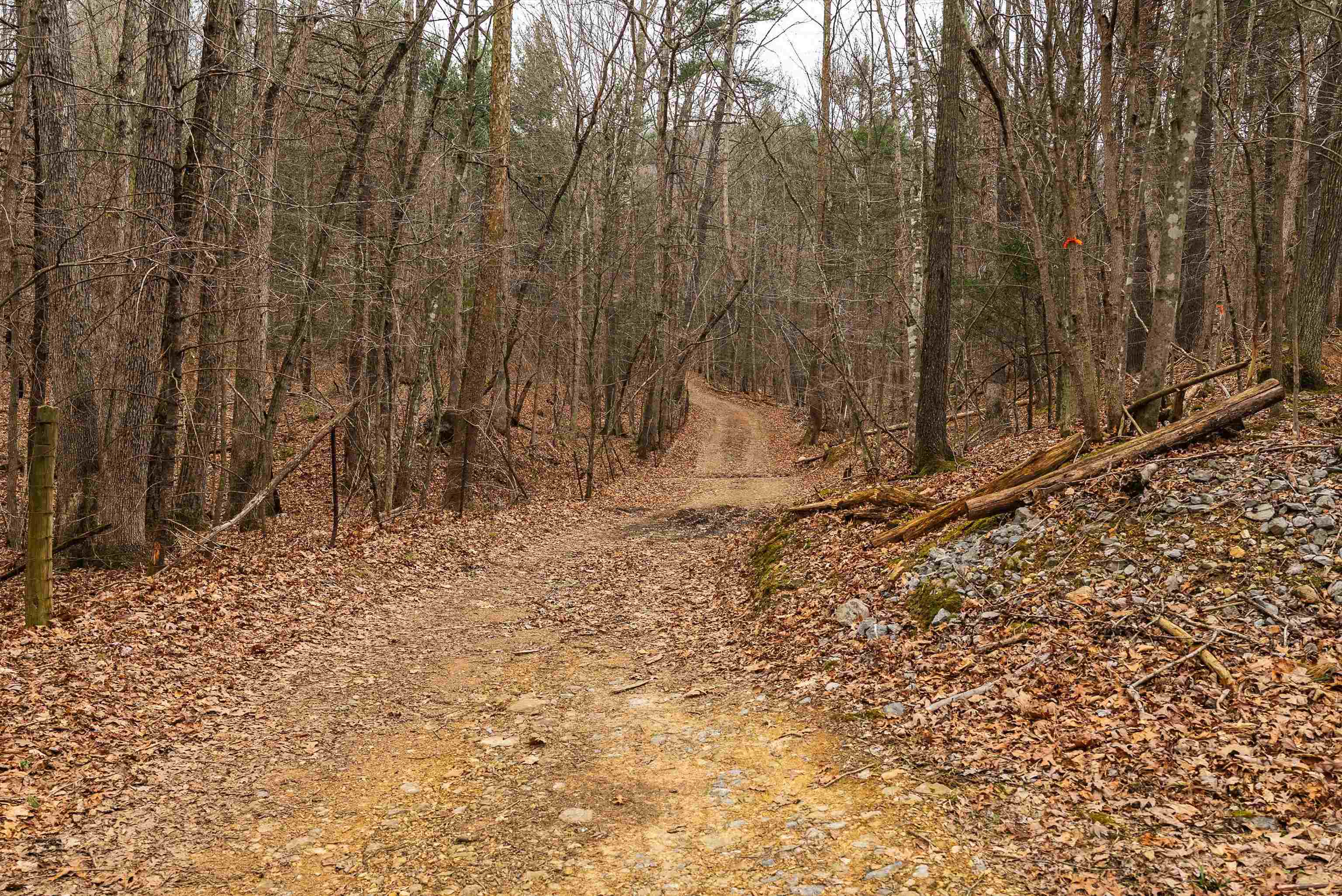 Lot 1 HOPKINS GAP RD, FULKS RUN, Virginia 22830, ,Farm,Lot 1 HOPKINS GAP RD,675970 MLS # 675970