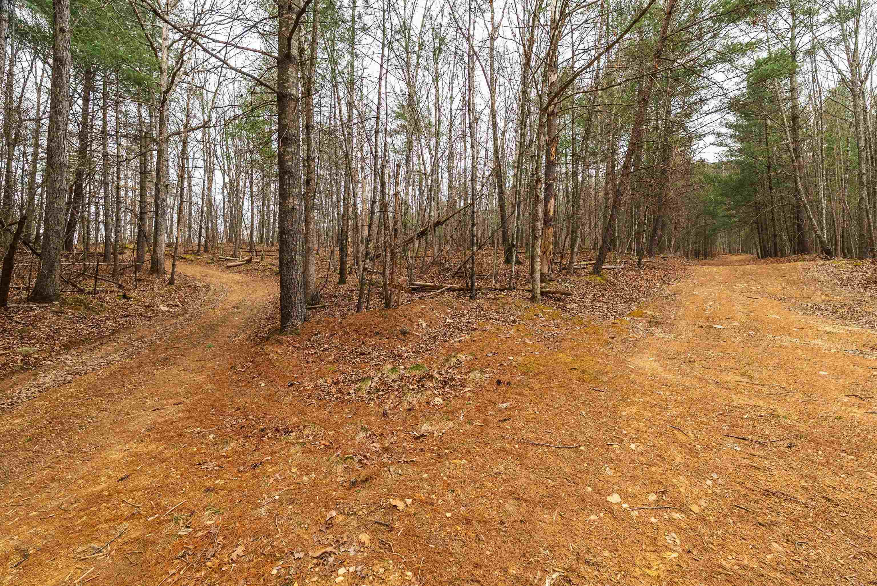 Lot 1 HOPKINS GAP RD, FULKS RUN, Virginia 22830, ,Farm,Lot 1 HOPKINS GAP RD,675970 MLS # 675970