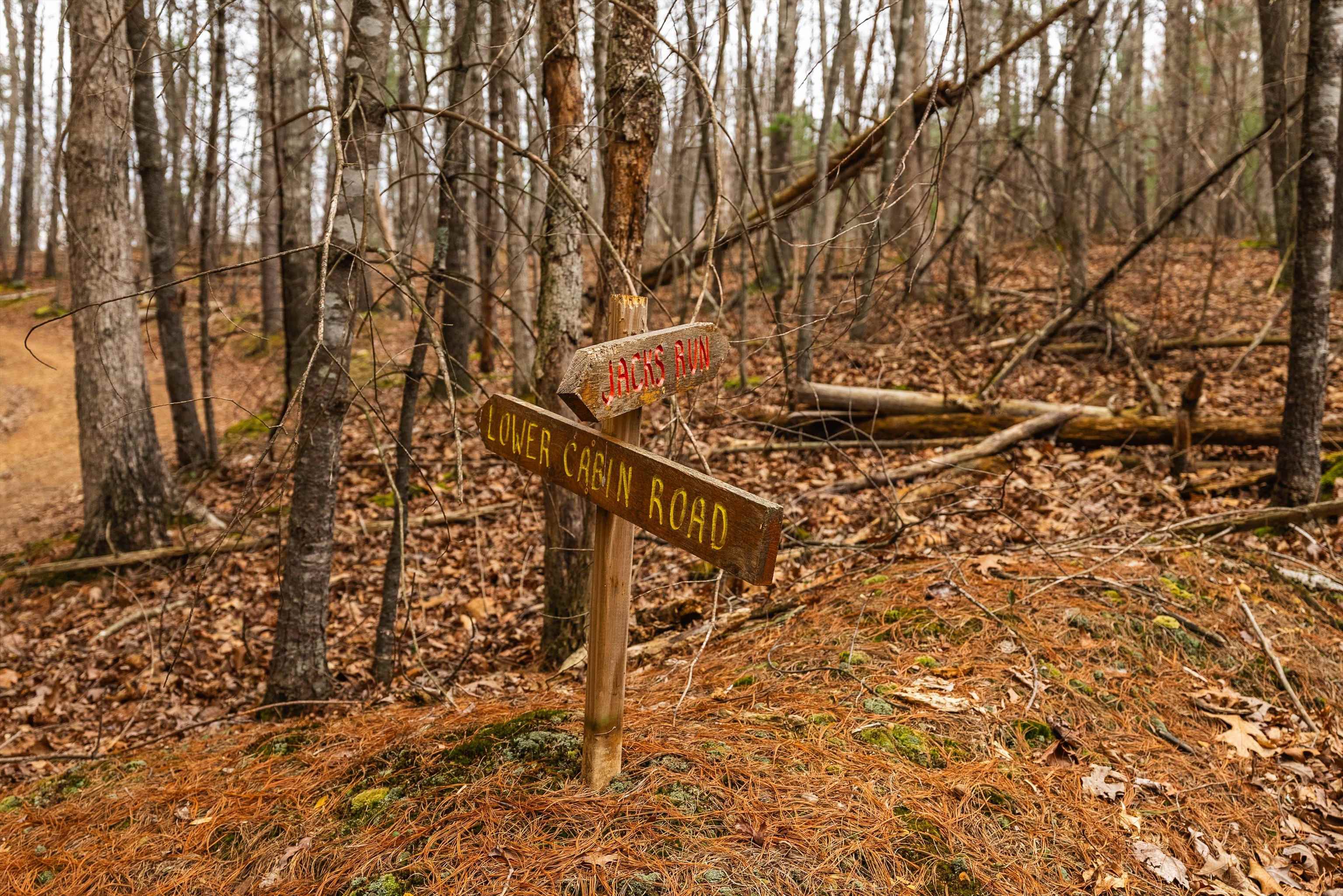 Lot 1 HOPKINS GAP RD, FULKS RUN, Virginia 22830, ,Farm,Lot 1 HOPKINS GAP RD,675970 MLS # 675970