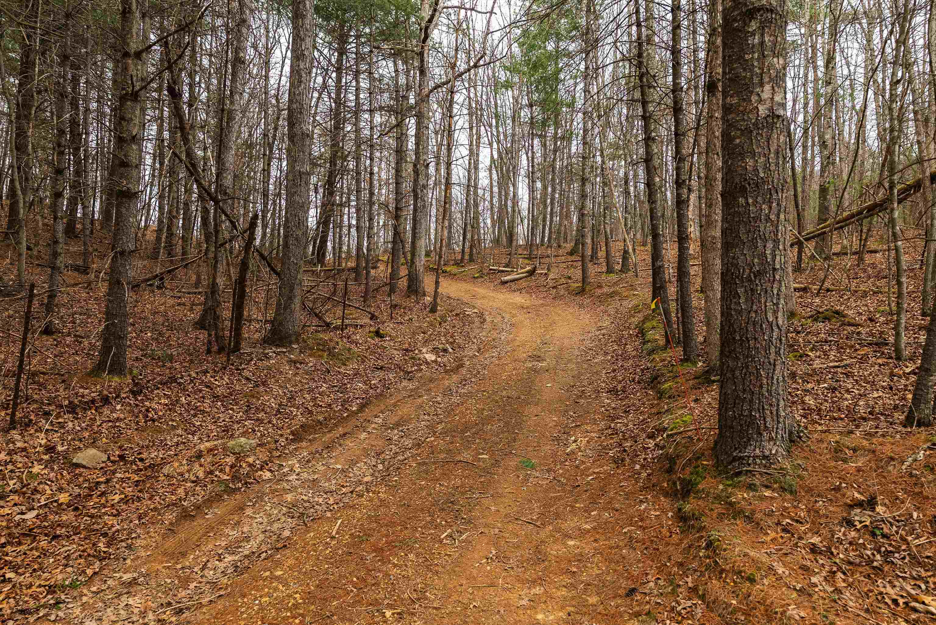 Lot 1 HOPKINS GAP RD, FULKS RUN, Virginia 22830, ,Farm,Lot 1 HOPKINS GAP RD,675970 MLS # 675970