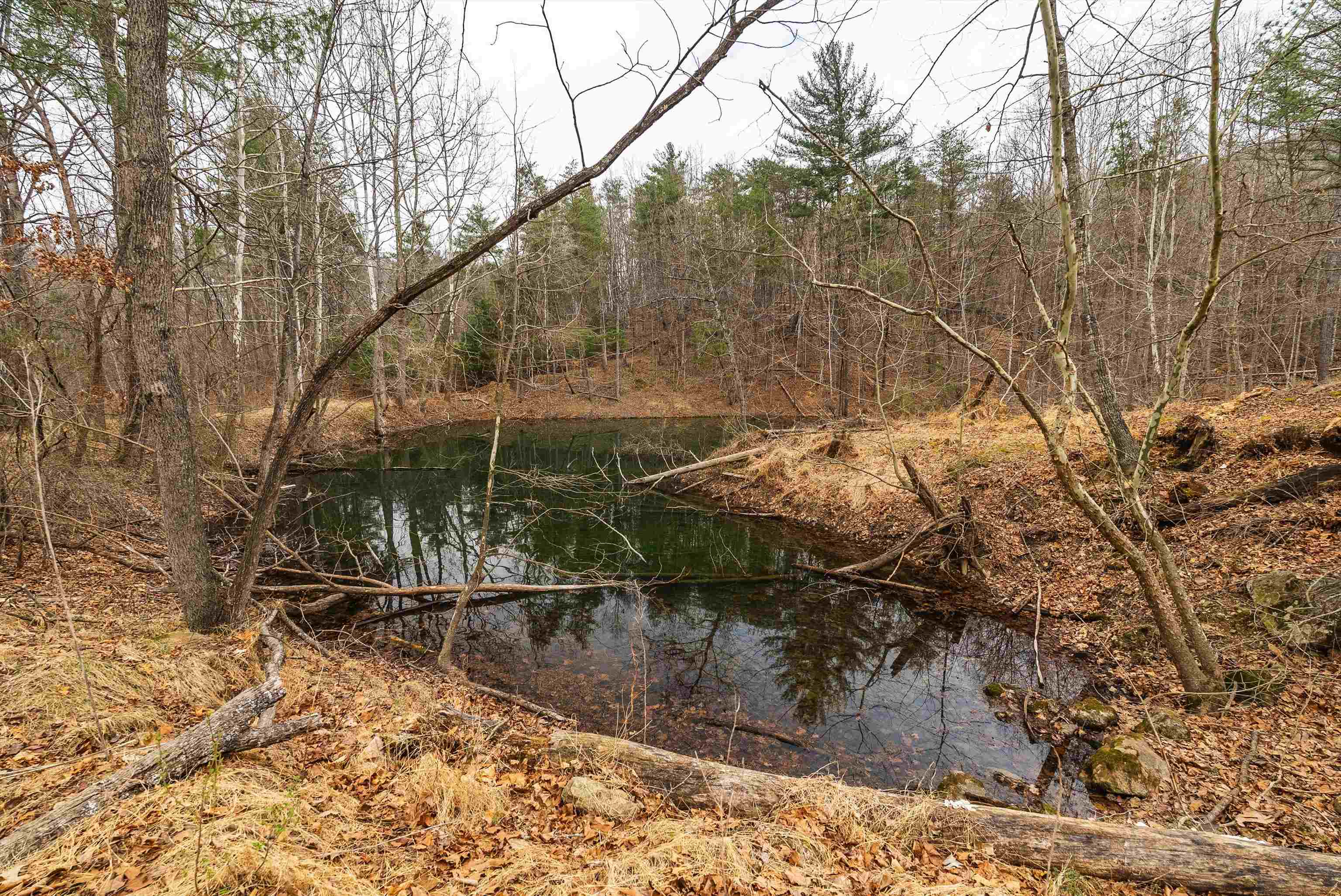 Lot 1 HOPKINS GAP RD, FULKS RUN, Virginia 22830, ,Farm,Lot 1 HOPKINS GAP RD,675970 MLS # 675970