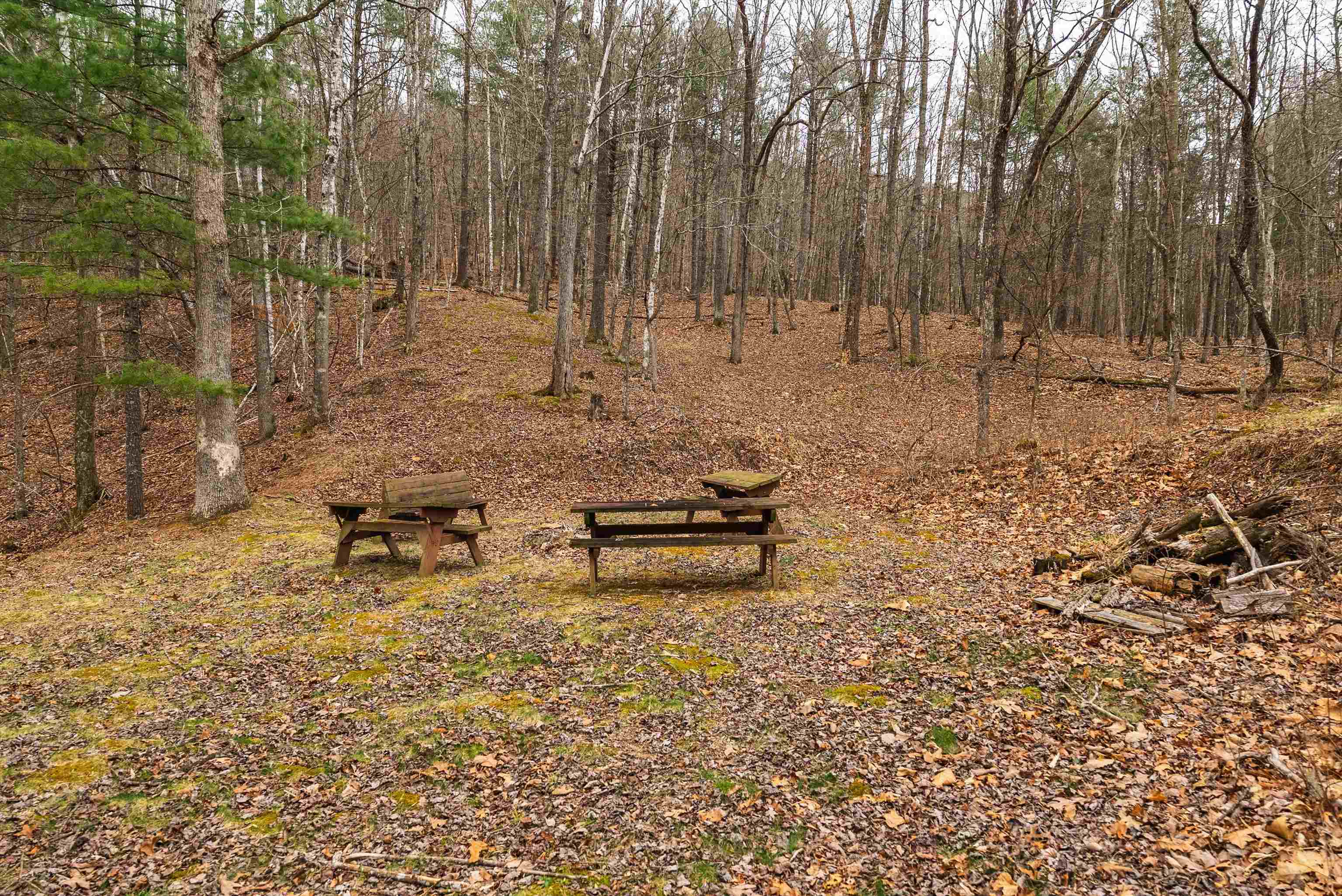 Lot 1 HOPKINS GAP RD, FULKS RUN, Virginia 22830, ,Farm,Lot 1 HOPKINS GAP RD,675970 MLS # 675970