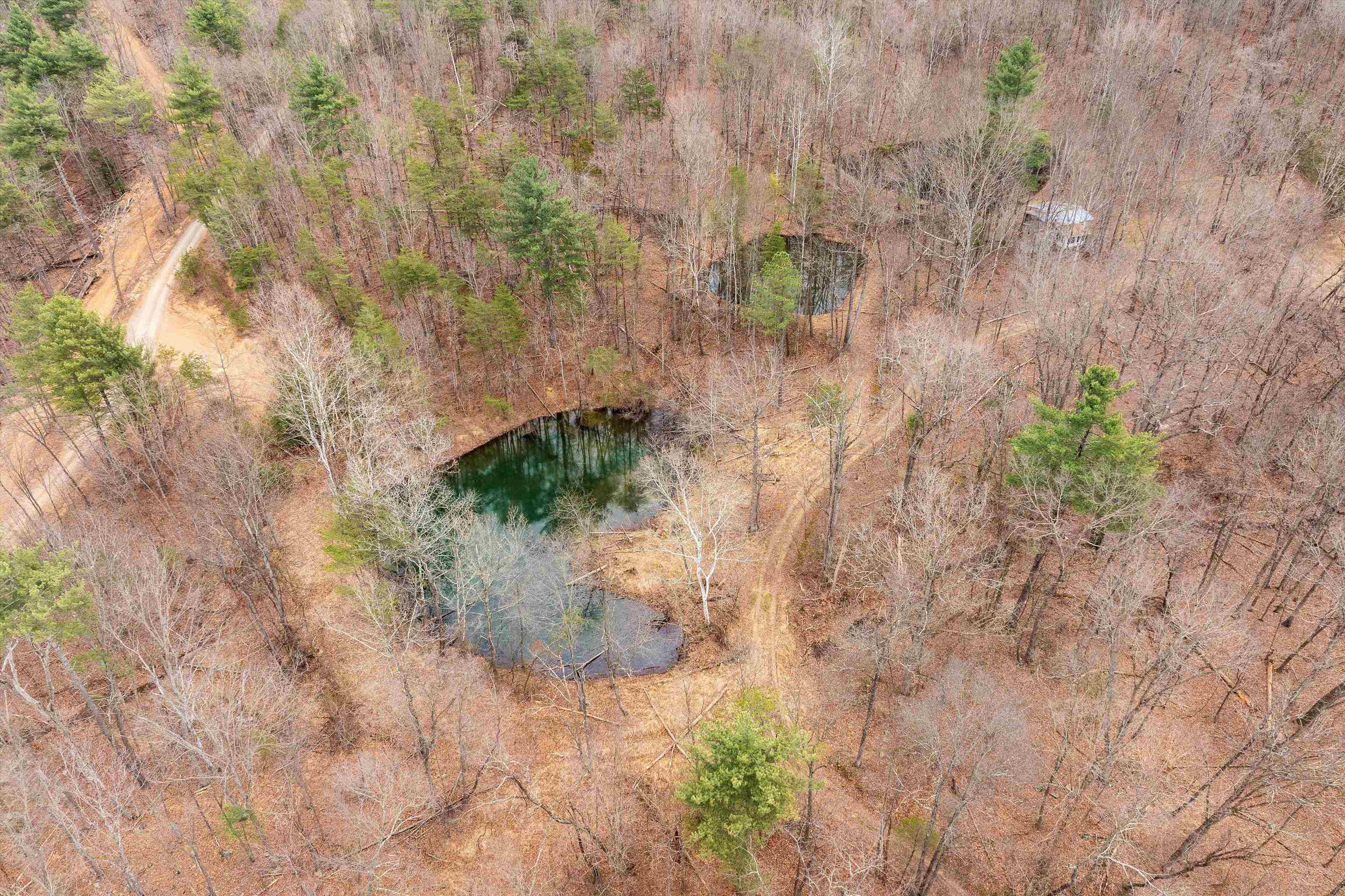 Lot 1 HOPKINS GAP RD, FULKS RUN, Virginia 22830, ,Farm,Lot 1 HOPKINS GAP RD,675970 MLS # 675970