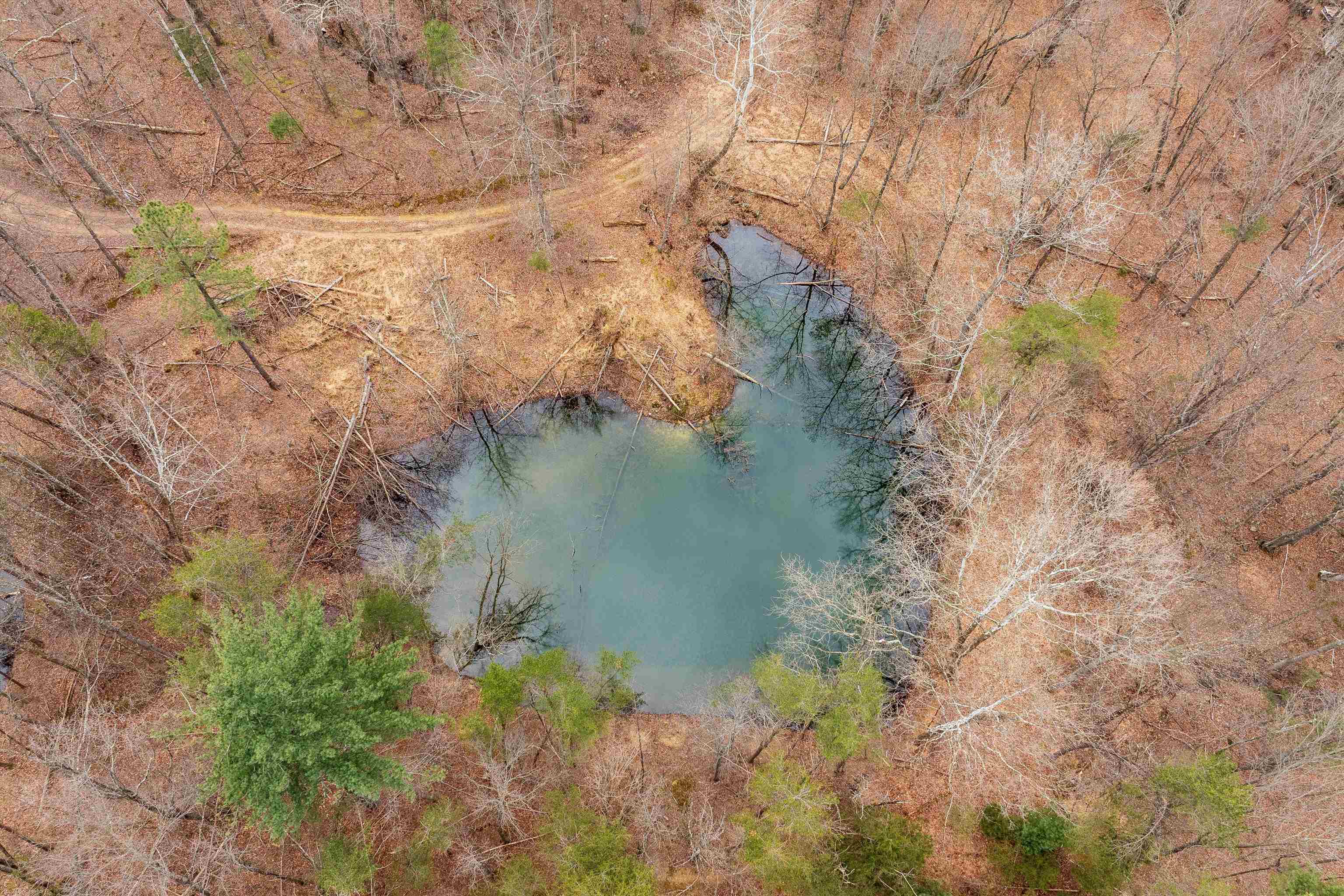 Lot 1 HOPKINS GAP RD, FULKS RUN, Virginia 22830, ,Farm,Lot 1 HOPKINS GAP RD,675970 MLS # 675970