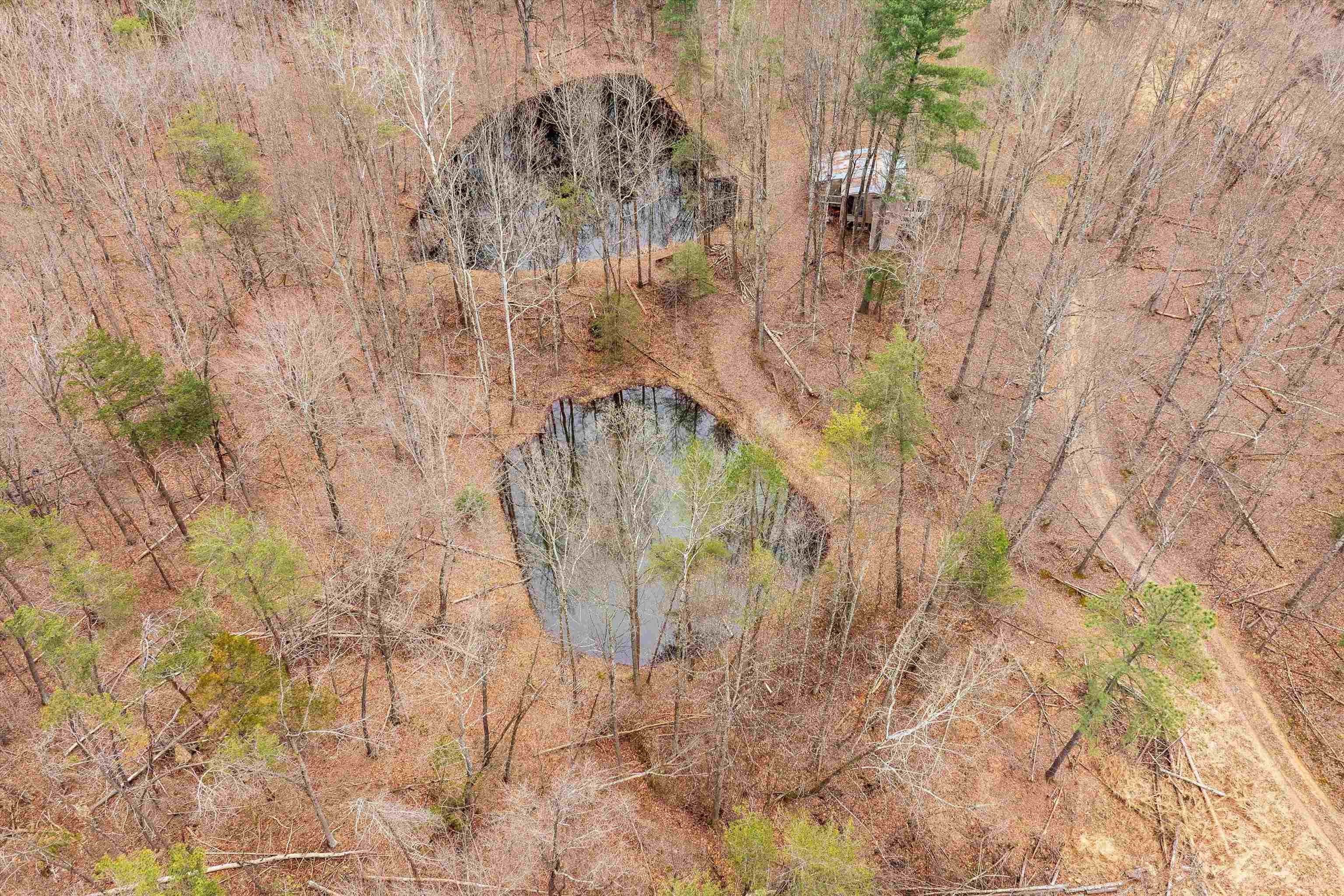 Lot 1 HOPKINS GAP RD, FULKS RUN, Virginia 22830, ,Farm,Lot 1 HOPKINS GAP RD,675970 MLS # 675970