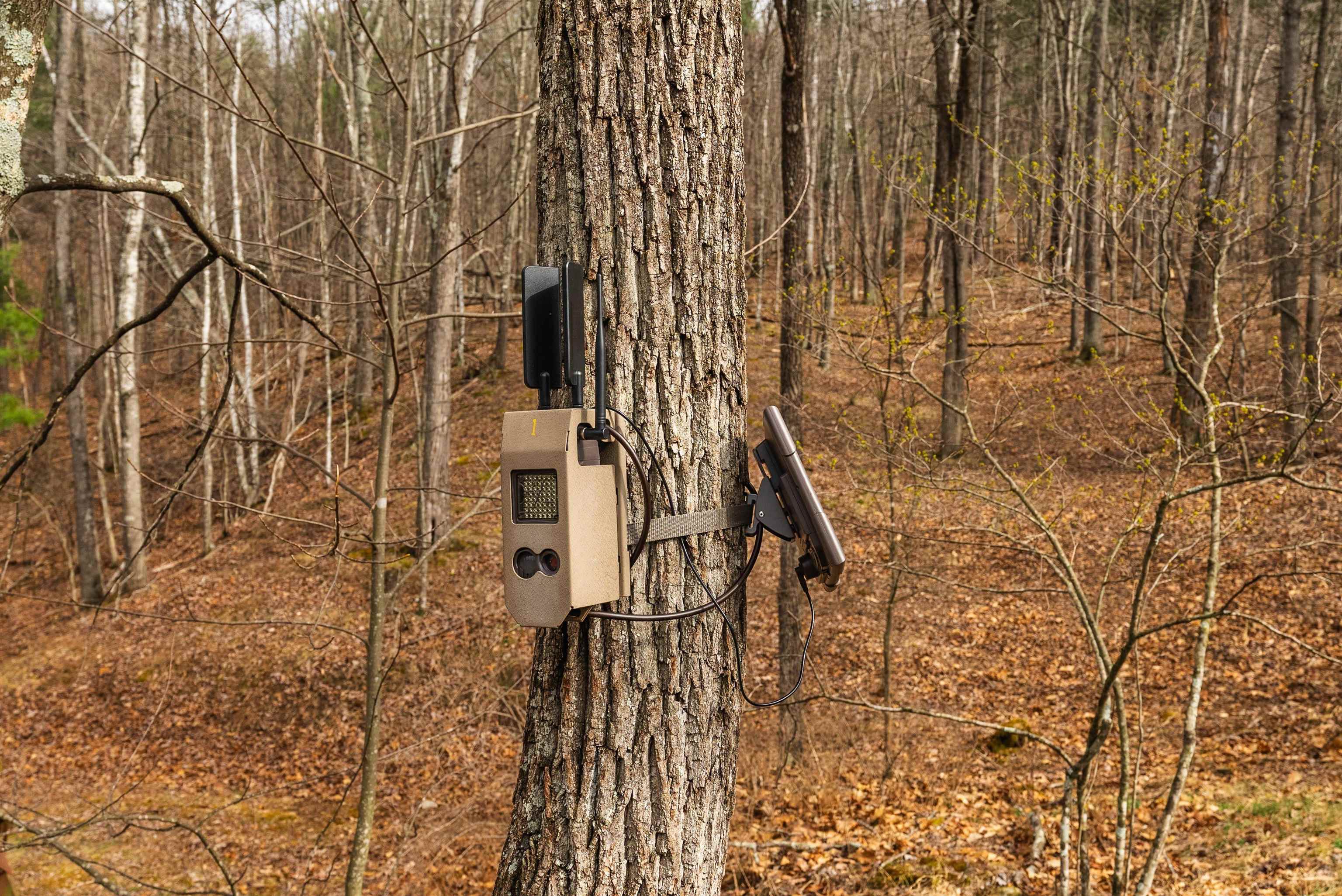 Lot 1 HOPKINS GAP RD, FULKS RUN, Virginia 22830, ,Farm,Lot 1 HOPKINS GAP RD,675970 MLS # 675970