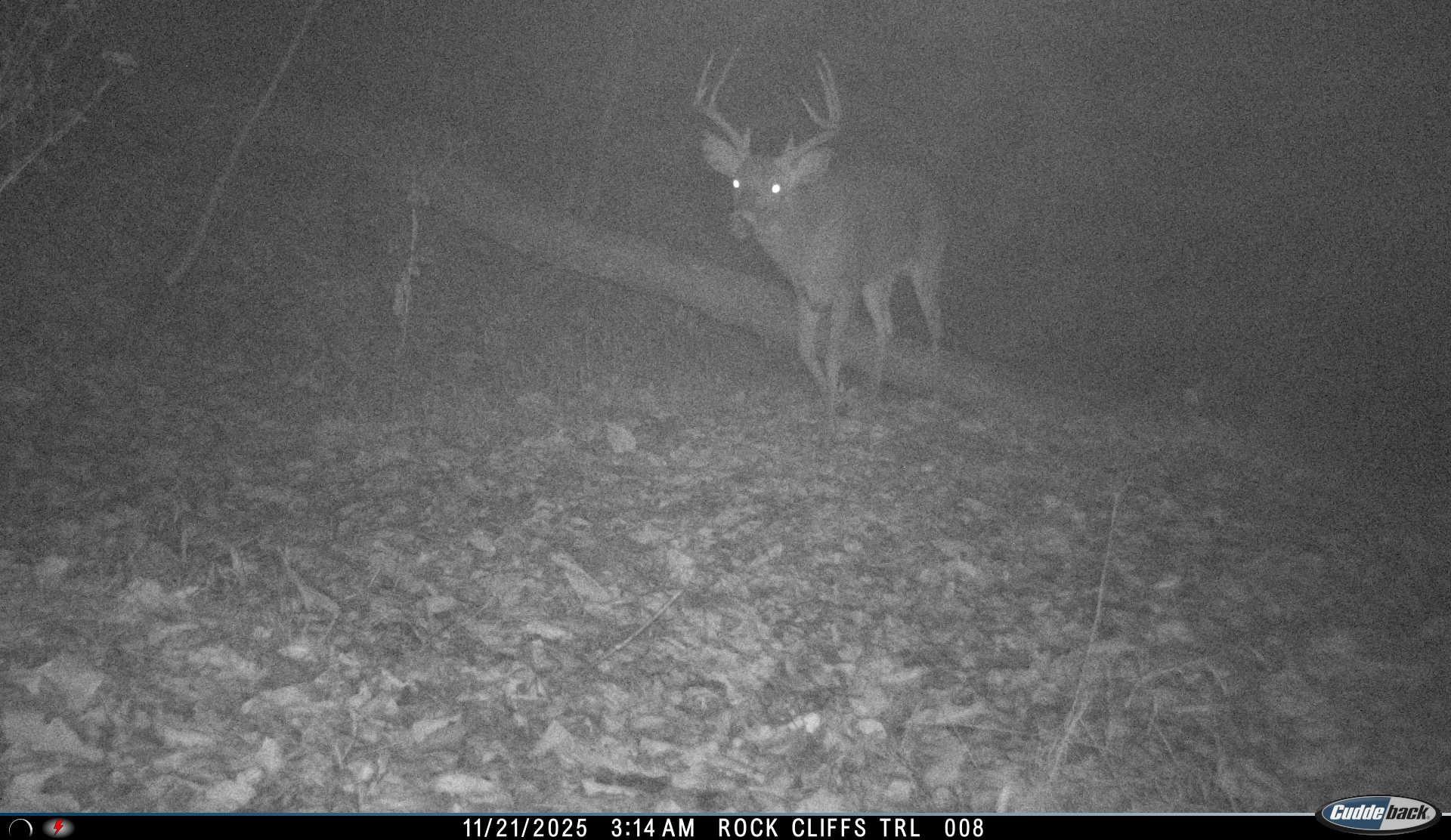 Lot 1 HOPKINS GAP RD, FULKS RUN, Virginia 22830, ,Farm,Lot 1 HOPKINS GAP RD,675970 MLS # 675970