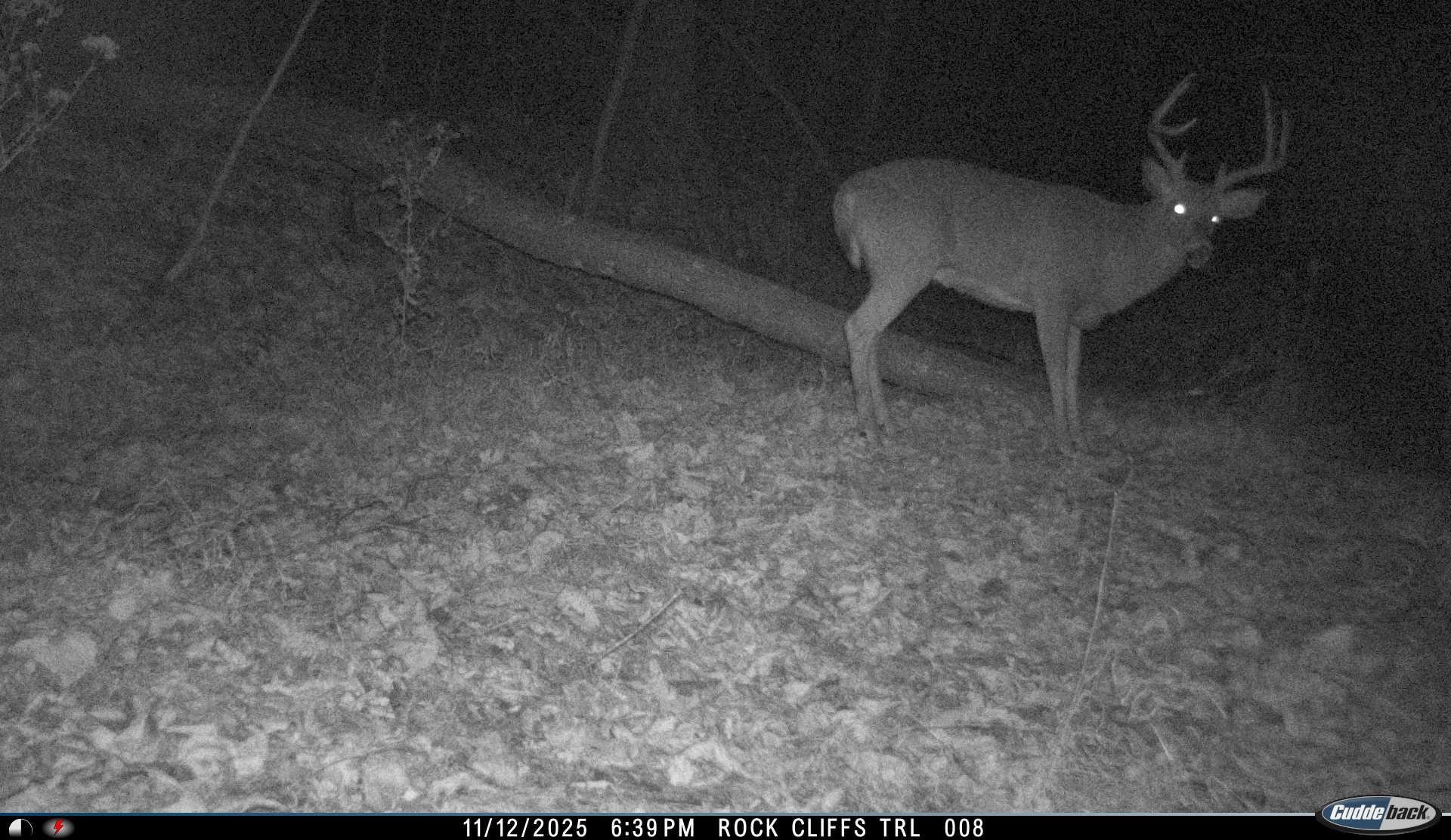 Lot 1 HOPKINS GAP RD, FULKS RUN, Virginia 22830, ,Farm,Lot 1 HOPKINS GAP RD,675970 MLS # 675970