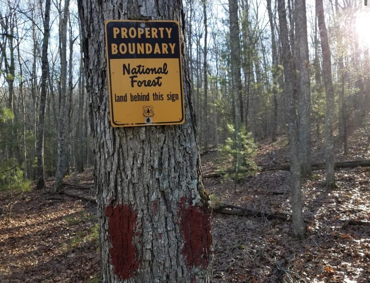 Lot 1 HOPKINS GAP RD, FULKS RUN, Virginia 22830, ,Farm,Lot 1 HOPKINS GAP RD,675970 MLS # 675970