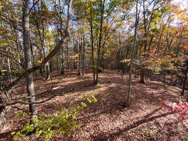Lot 1 HOPKINS GAP RD, FULKS RUN, Virginia 22830, ,Farm,Lot 1 HOPKINS GAP RD,675970 MLS # 675970