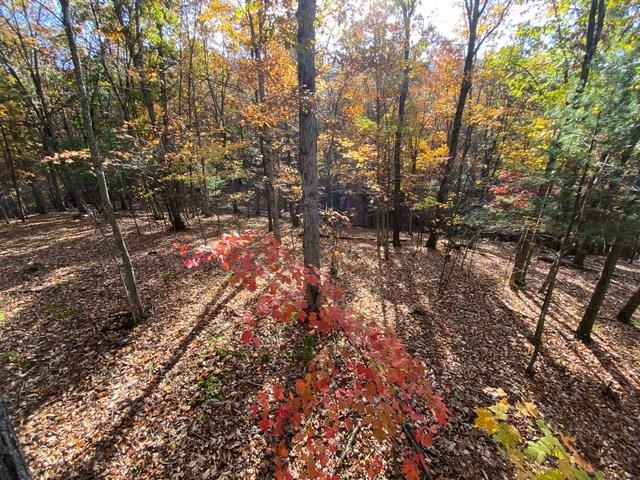Lot 1 HOPKINS GAP RD, FULKS RUN, Virginia 22830, ,Farm,Lot 1 HOPKINS GAP RD,675970 MLS # 675970