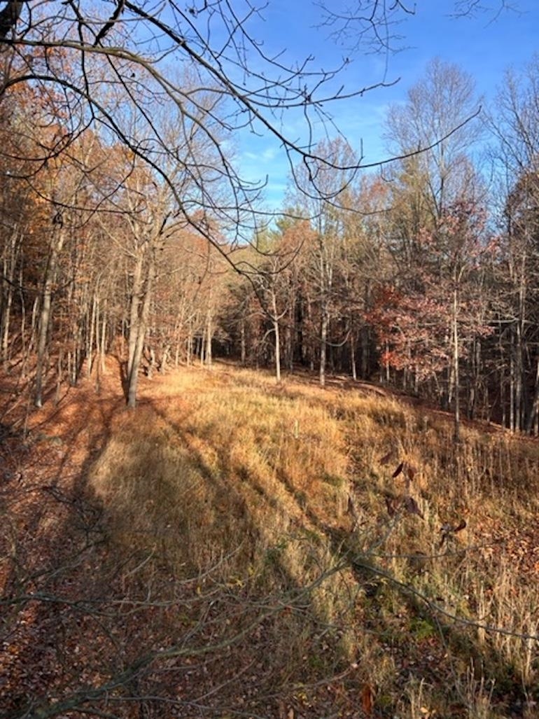 Lot 1 HOPKINS GAP RD, FULKS RUN, Virginia 22830, ,Farm,Lot 1 HOPKINS GAP RD,675970 MLS # 675970