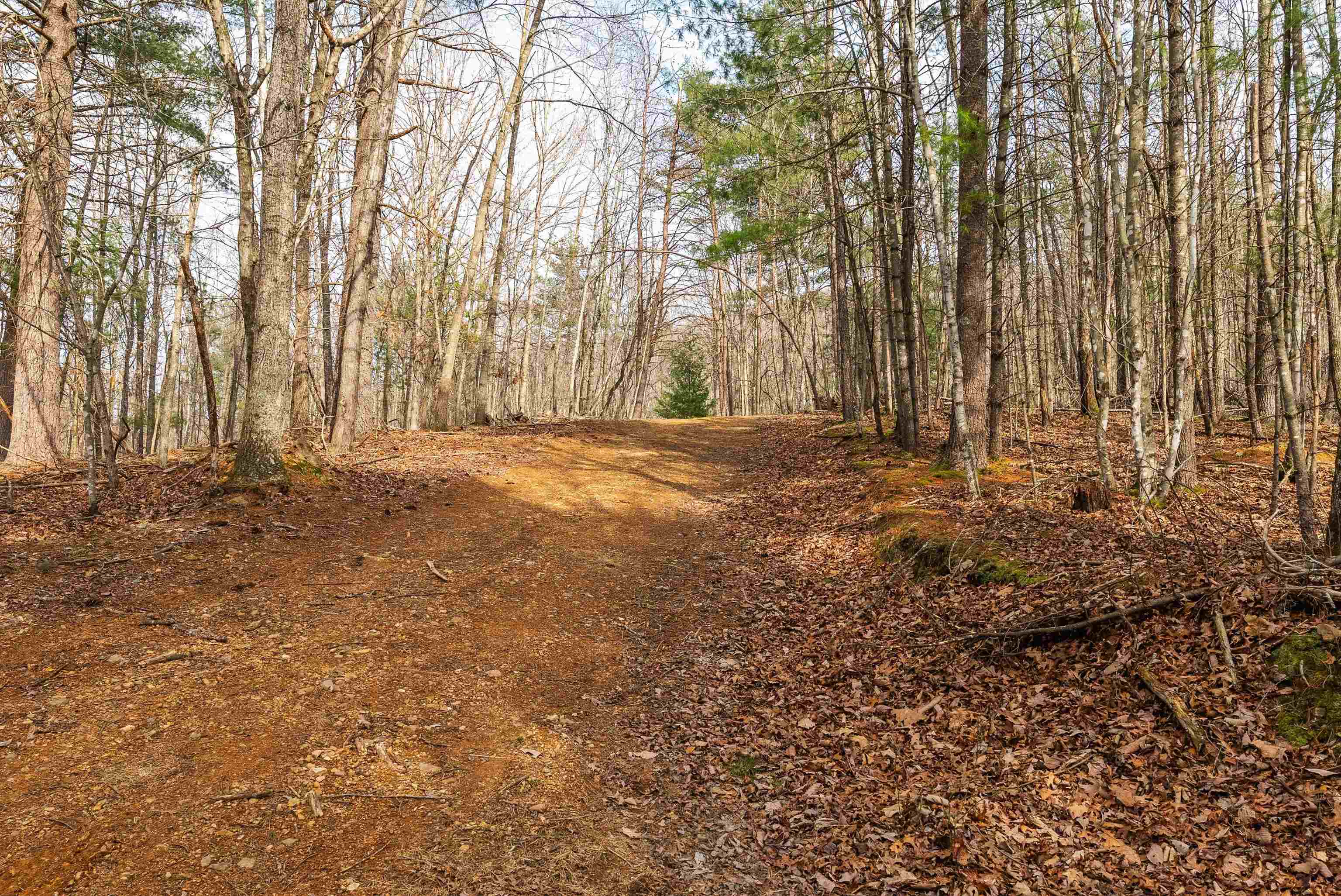 Lot 1 HOPKINS GAP RD, FULKS RUN, Virginia 22830, ,Farm,Lot 1 HOPKINS GAP RD,675970 MLS # 675970