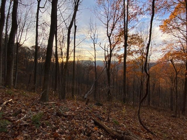 Lot 1 HOPKINS GAP RD, FULKS RUN, Virginia 22830, ,Farm,Lot 1 HOPKINS GAP RD,675970 MLS # 675970