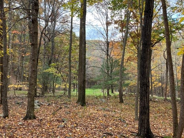 81.5 Acres HOPKINS GAP RD, FULKS RUN, Virginia 22830, ,Farm,81.5 Acres HOPKINS GAP RD,675971 MLS # 675971