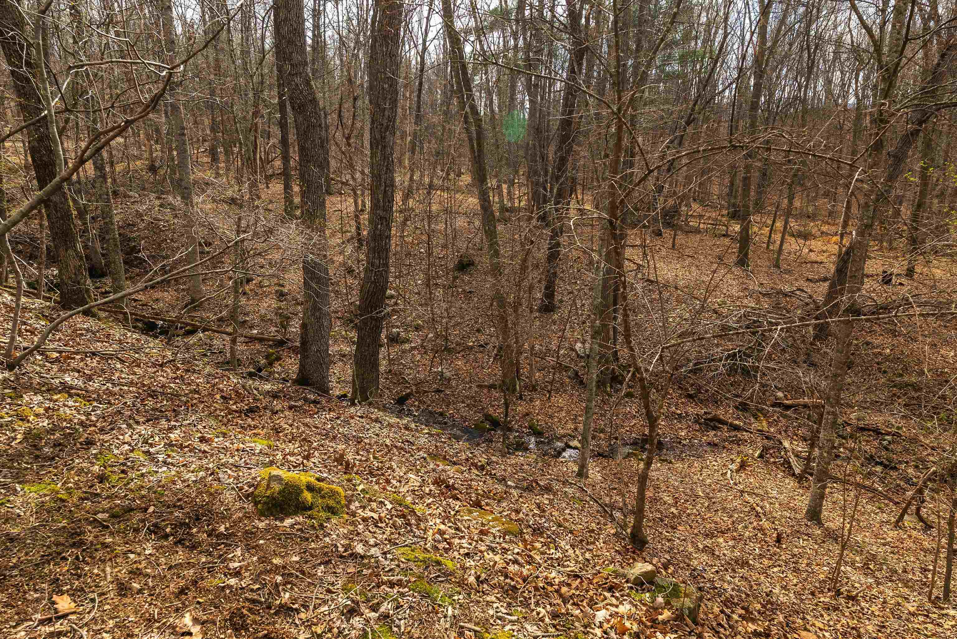 81.5 Acres HOPKINS GAP RD, FULKS RUN, Virginia 22830, ,Farm,81.5 Acres HOPKINS GAP RD,675971 MLS # 675971