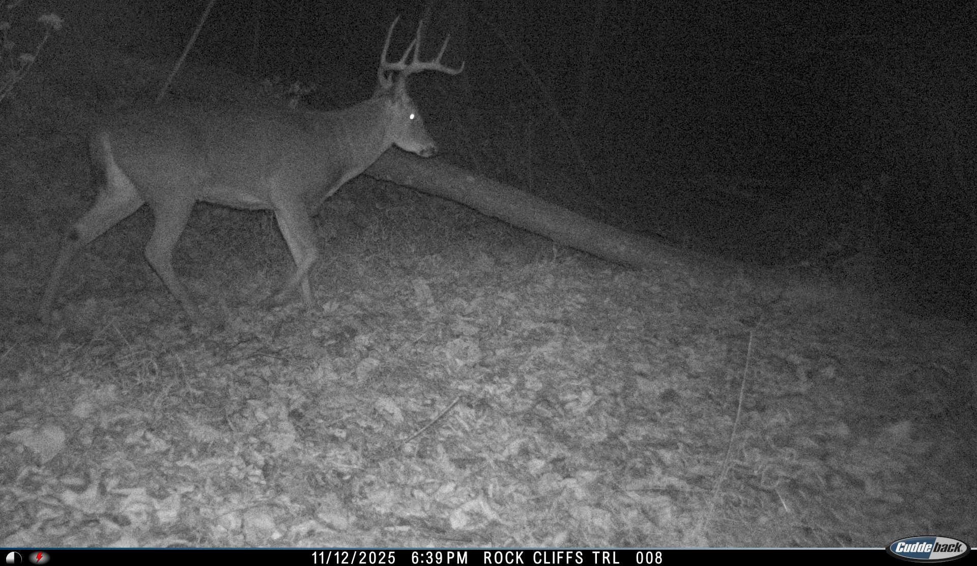 81.5 Acres HOPKINS GAP RD, FULKS RUN, Virginia 22830, ,Farm,81.5 Acres HOPKINS GAP RD,675971 MLS # 675971