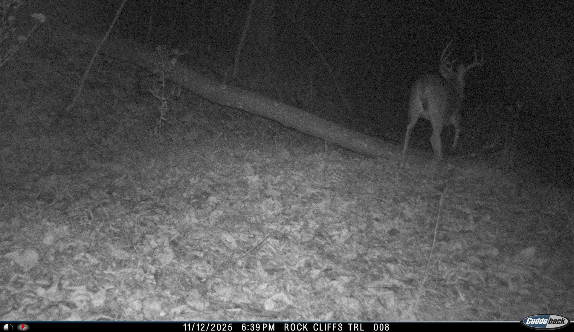 81.5 Acres HOPKINS GAP RD, FULKS RUN, Virginia 22830, ,Farm,81.5 Acres HOPKINS GAP RD,675971 MLS # 675971