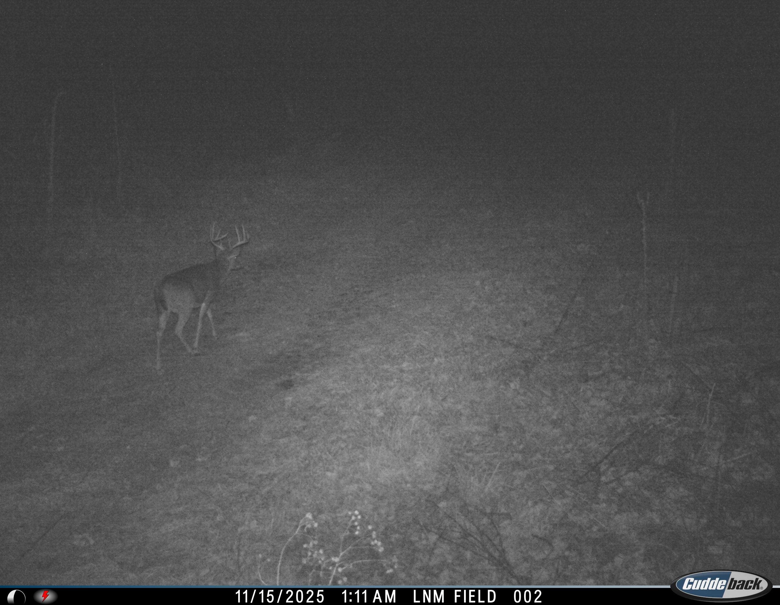 81.5 Acres HOPKINS GAP RD, FULKS RUN, Virginia 22830, ,Farm,81.5 Acres HOPKINS GAP RD,675971 MLS # 675971