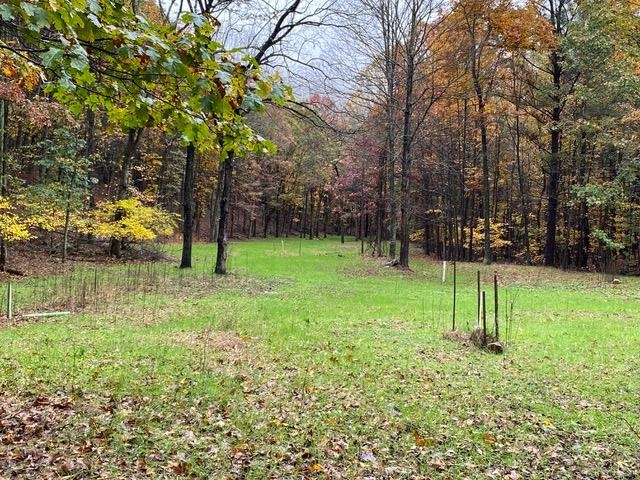 81.5 Acres HOPKINS GAP RD, FULKS RUN, Virginia 22830, ,Farm,81.5 Acres HOPKINS GAP RD,675971 MLS # 675971