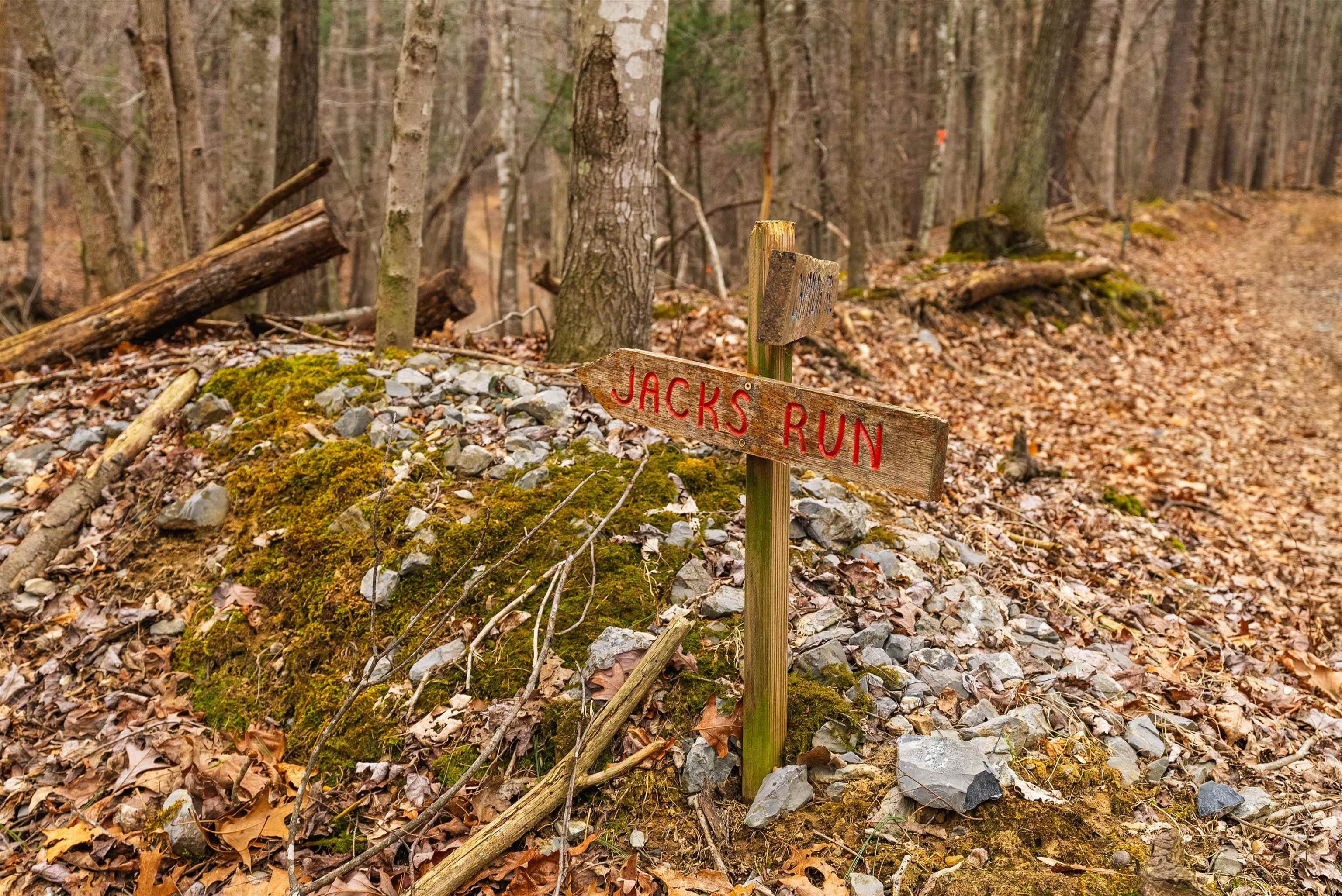 81.5 Acres HOPKINS GAP RD, FULKS RUN, Virginia 22830, ,Farm,81.5 Acres HOPKINS GAP RD,675971 MLS # 675971