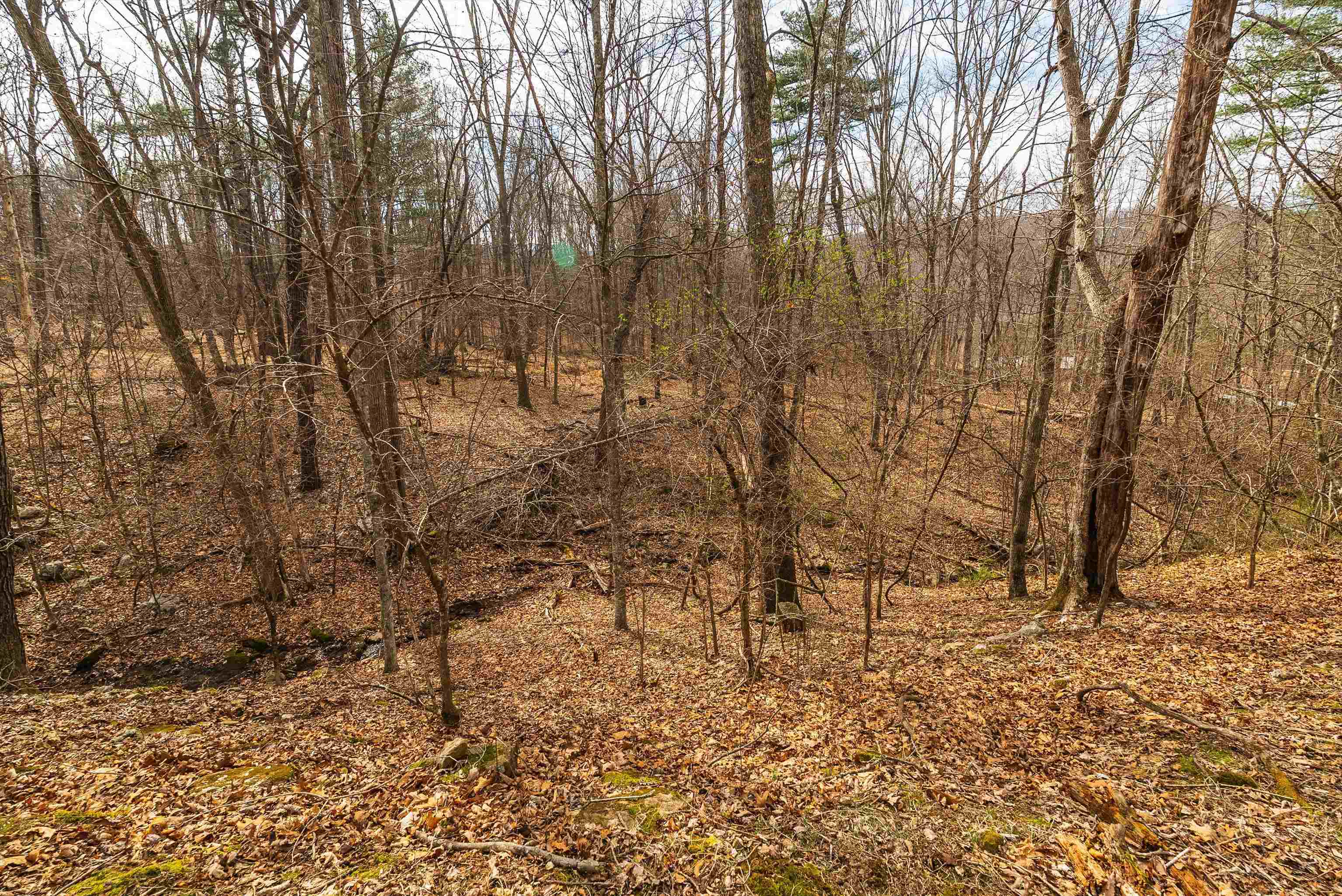 81.5 Acres HOPKINS GAP RD, FULKS RUN, Virginia 22830, ,Farm,81.5 Acres HOPKINS GAP RD,675971 MLS # 675971