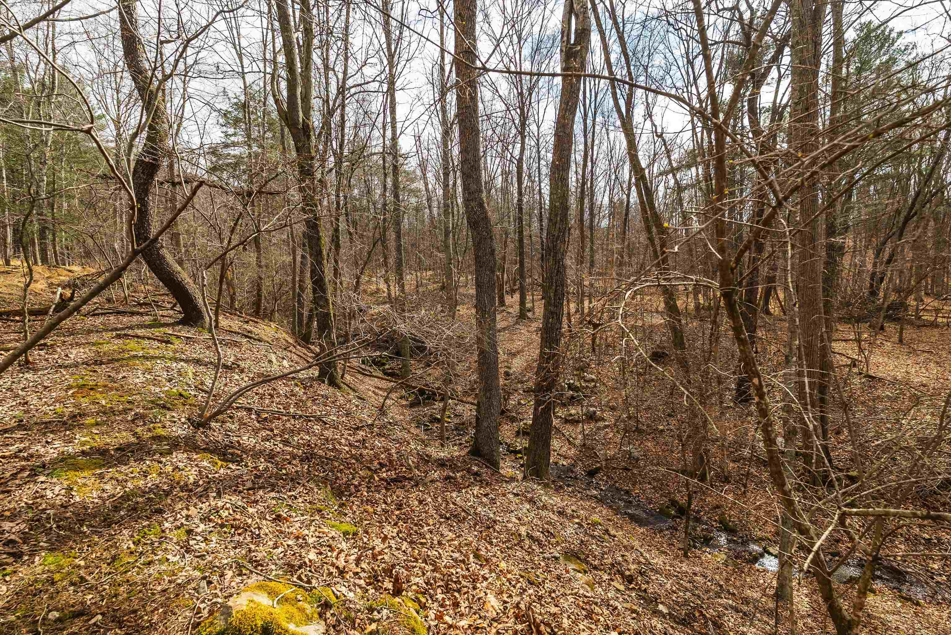 81.5 Acres HOPKINS GAP RD, FULKS RUN, Virginia 22830, ,Farm,81.5 Acres HOPKINS GAP RD,675971 MLS # 675971