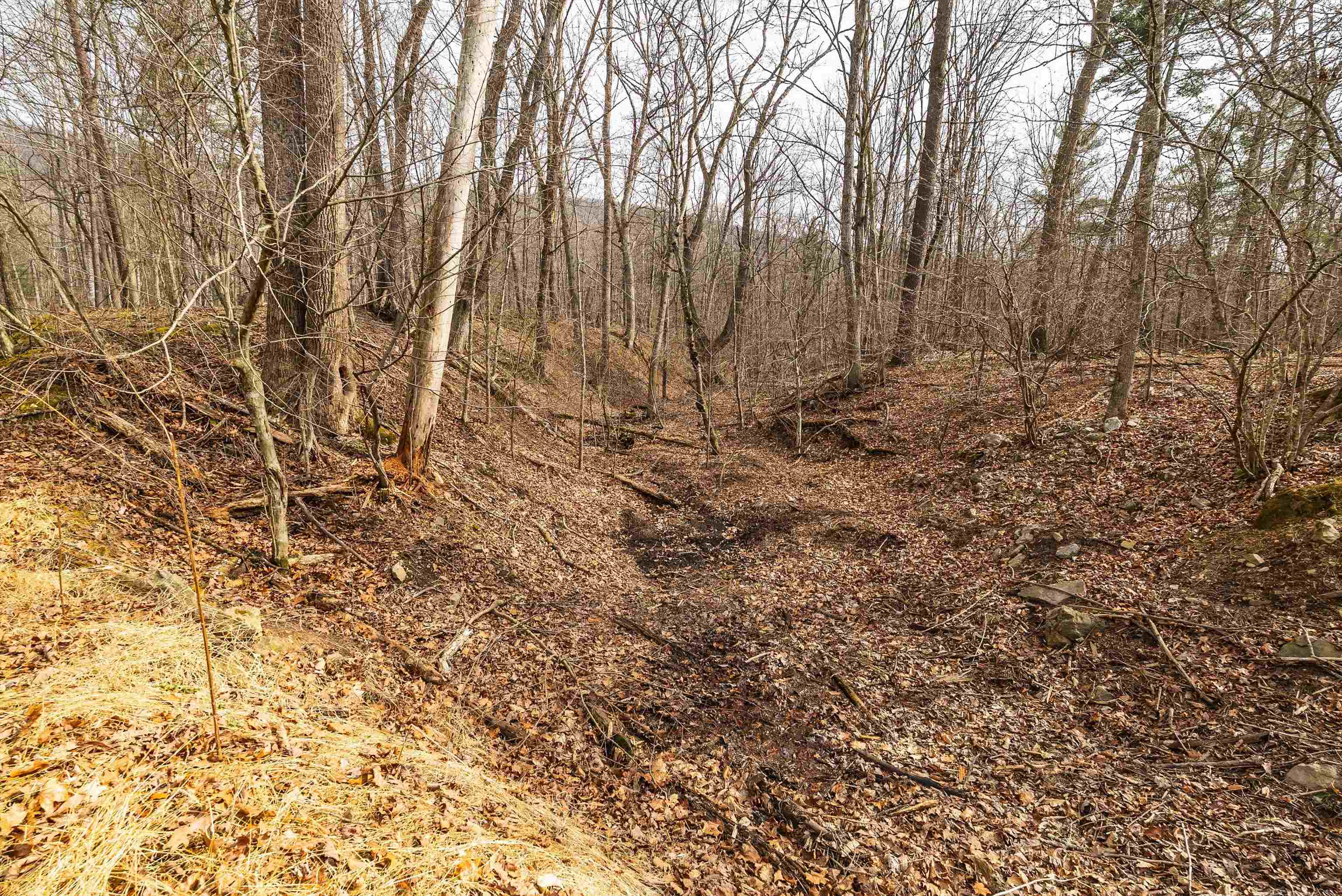 81.5 Acres HOPKINS GAP RD, FULKS RUN, Virginia 22830, ,Farm,81.5 Acres HOPKINS GAP RD,675971 MLS # 675971